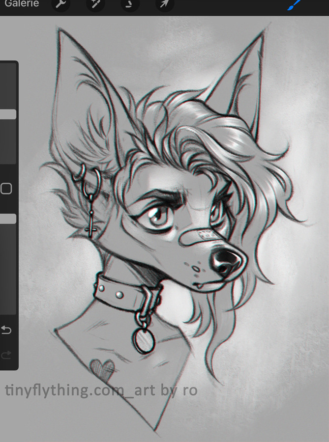 Screenshot of the procreate interface with a black and white portrait drawing of an anthro canine girl with collar on and wild hair.