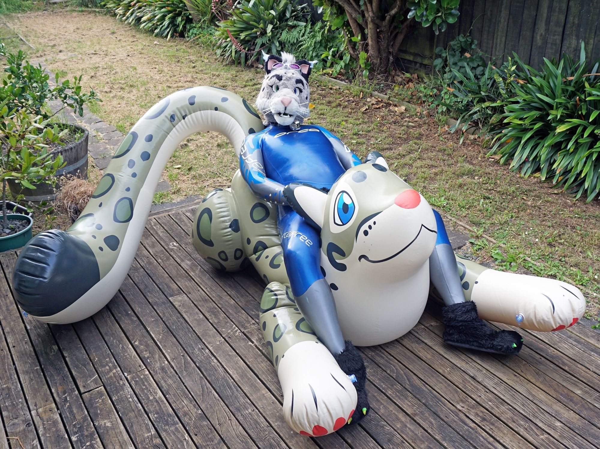 Kamadan wearing a nicely shined up blue Orca wetsuit, lounging on a big puffy inflatable Snow Leopard pool toy out on the deck