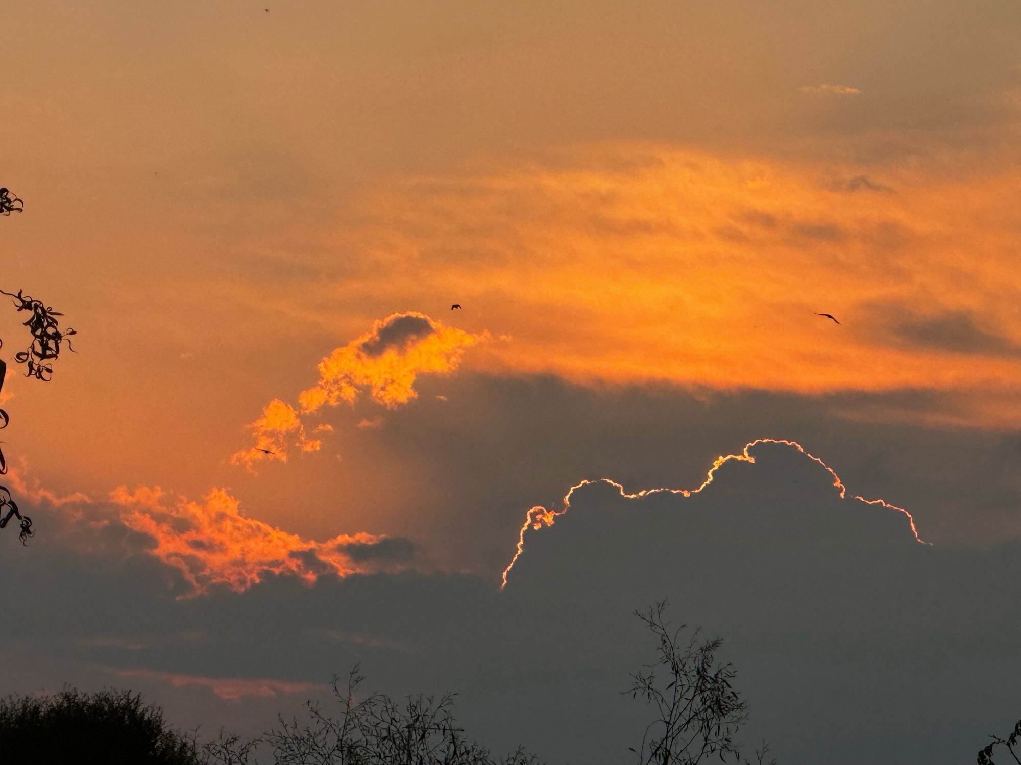 Grey clouds lit from behind by an orange sun; the sharp outline of the foreground cloud resembles a flash of lightning across the sky