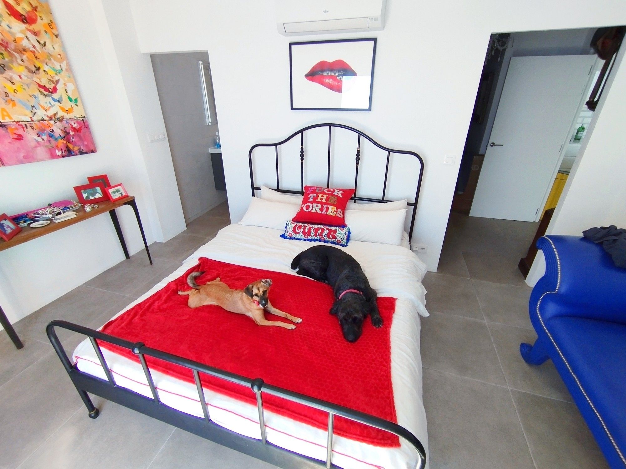 Photo of my freshly made bed being enjoyed by my two doggies.