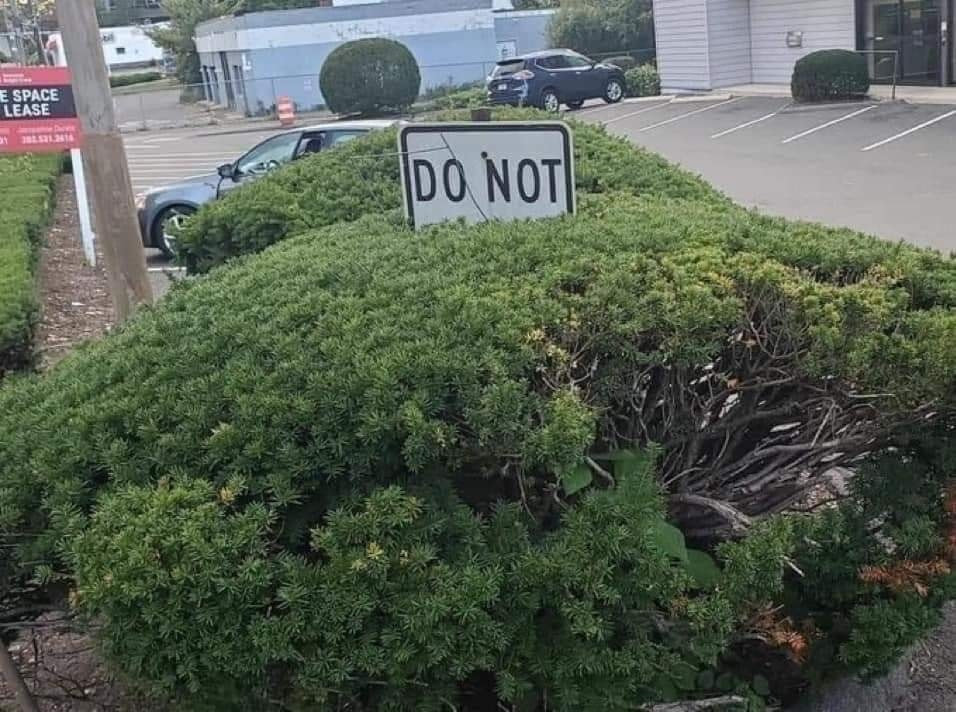 the top of a sign reads "do not".  the rest of the sign's contents are hidden because a bush is growing up around the sign obscuring it