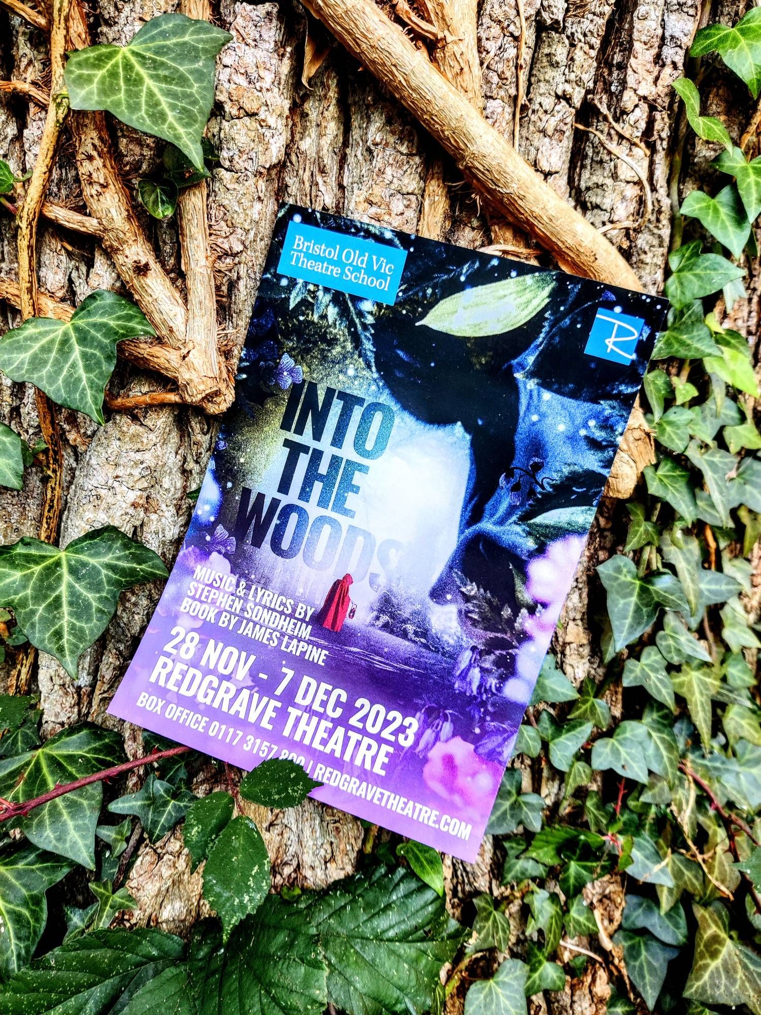 INTO THE WOODS show leaflet, positioned against an ivy-clad oak. Leaflet reads: Into The Woods. Music & Lyrics by Stephen Sondheim. Book by James Lapine. 28 Nov - 7 Dec 2023. Redgrave Theatre.