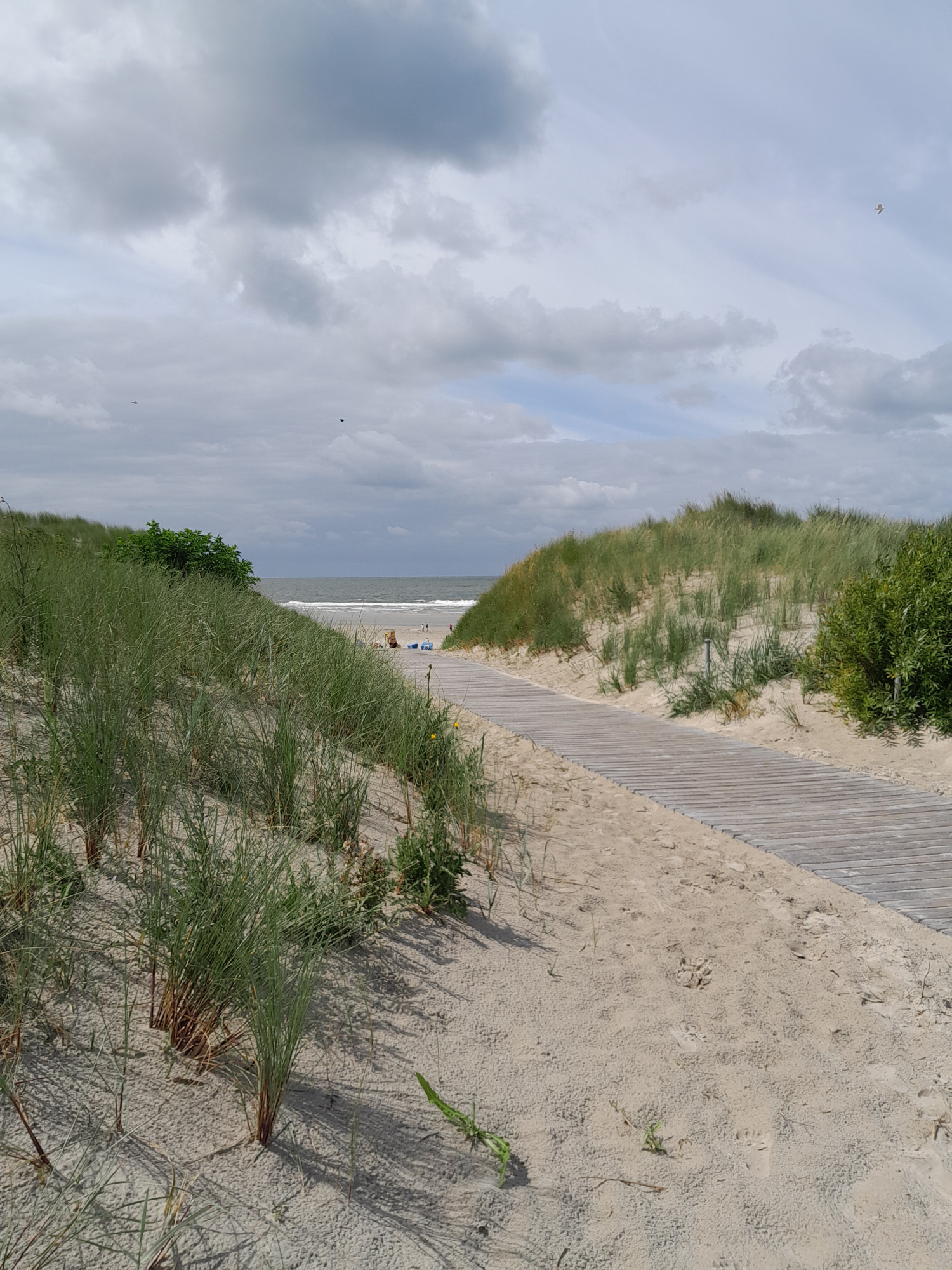 Ein Bohlenweg, der von rechts nach links durch Dünen führt, am Horizont ist das Meer