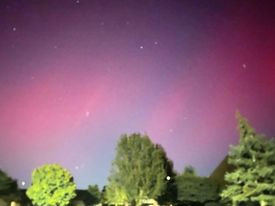 The Northern Lights glow pink over the trees.