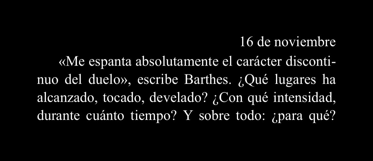 Captura de pantalla del libro electrónico “Irse” de Esmeralda Berbel, que dice:

«16 de noviembre:
“Me espanta absolutamente el carácter discontinuo del duelo”, escribe Barthes. ¿Qué lugares ha alcanzado, tocado, develado? ¿Con qué intensidad, durante cuánto tiempo? Y sobre todo: ¿para qué?»