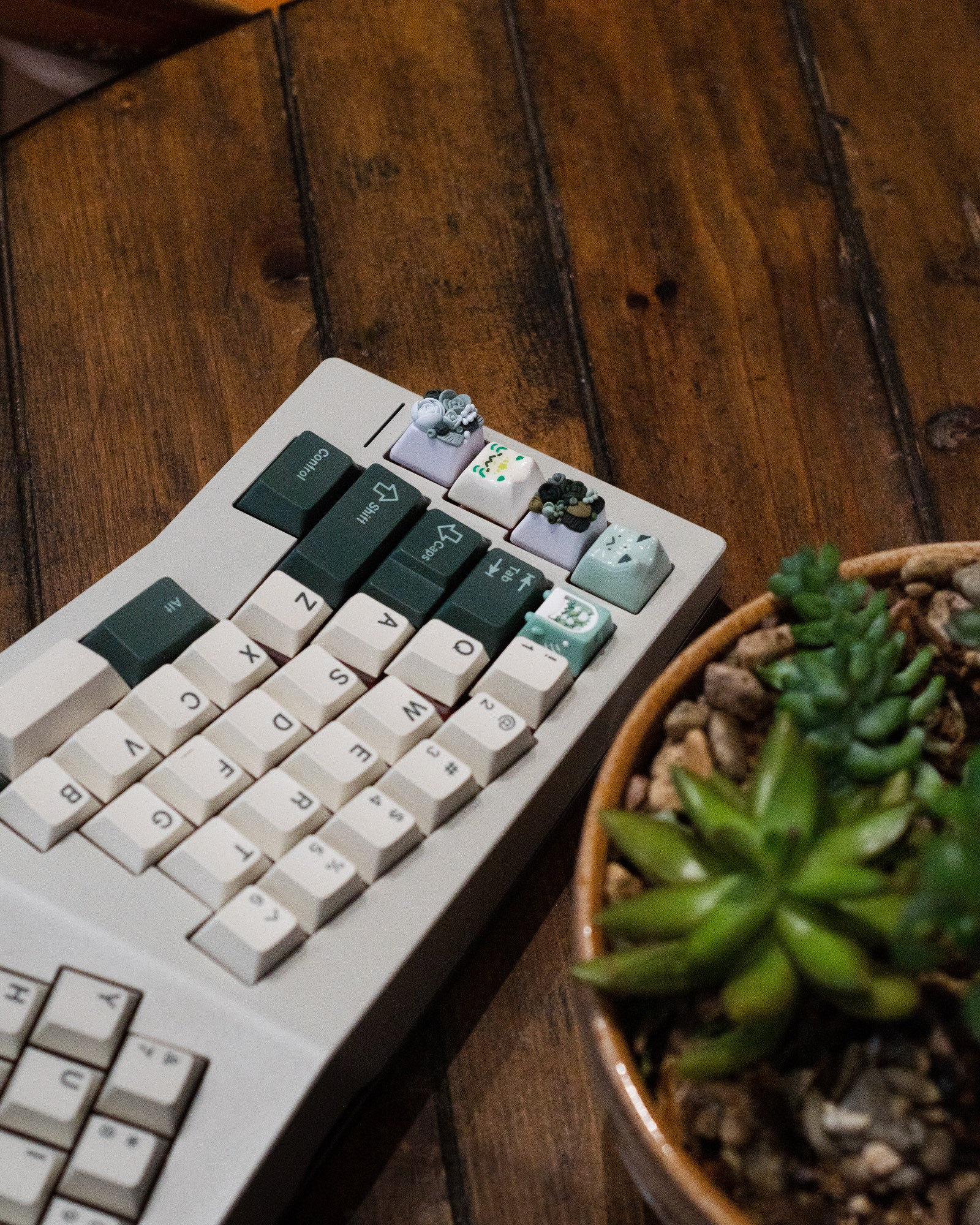 the Type-K sits on a wooden table, with a small set of plants in a pot in the foreground