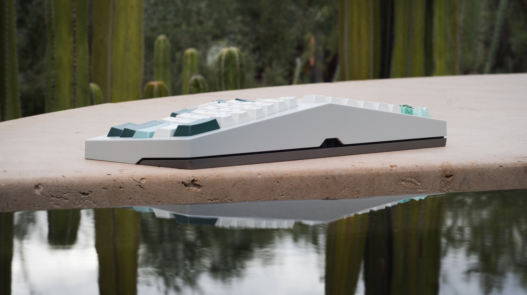 the Type-K sits before still water, reflection visible. a chorus of cacti is in the background.  