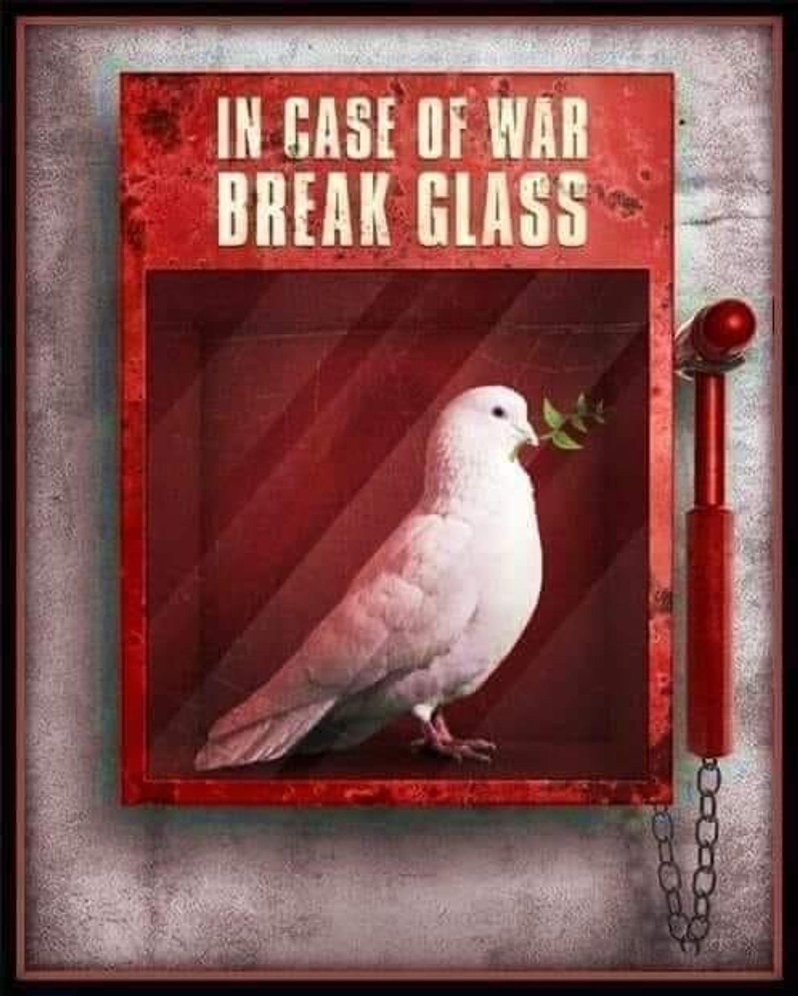 A dove holding a small plant stem in its mouth is sitting inside a red firebox that has a small red hammer attached to the side by a chain. The firebox label reads "in case of war, break glass."