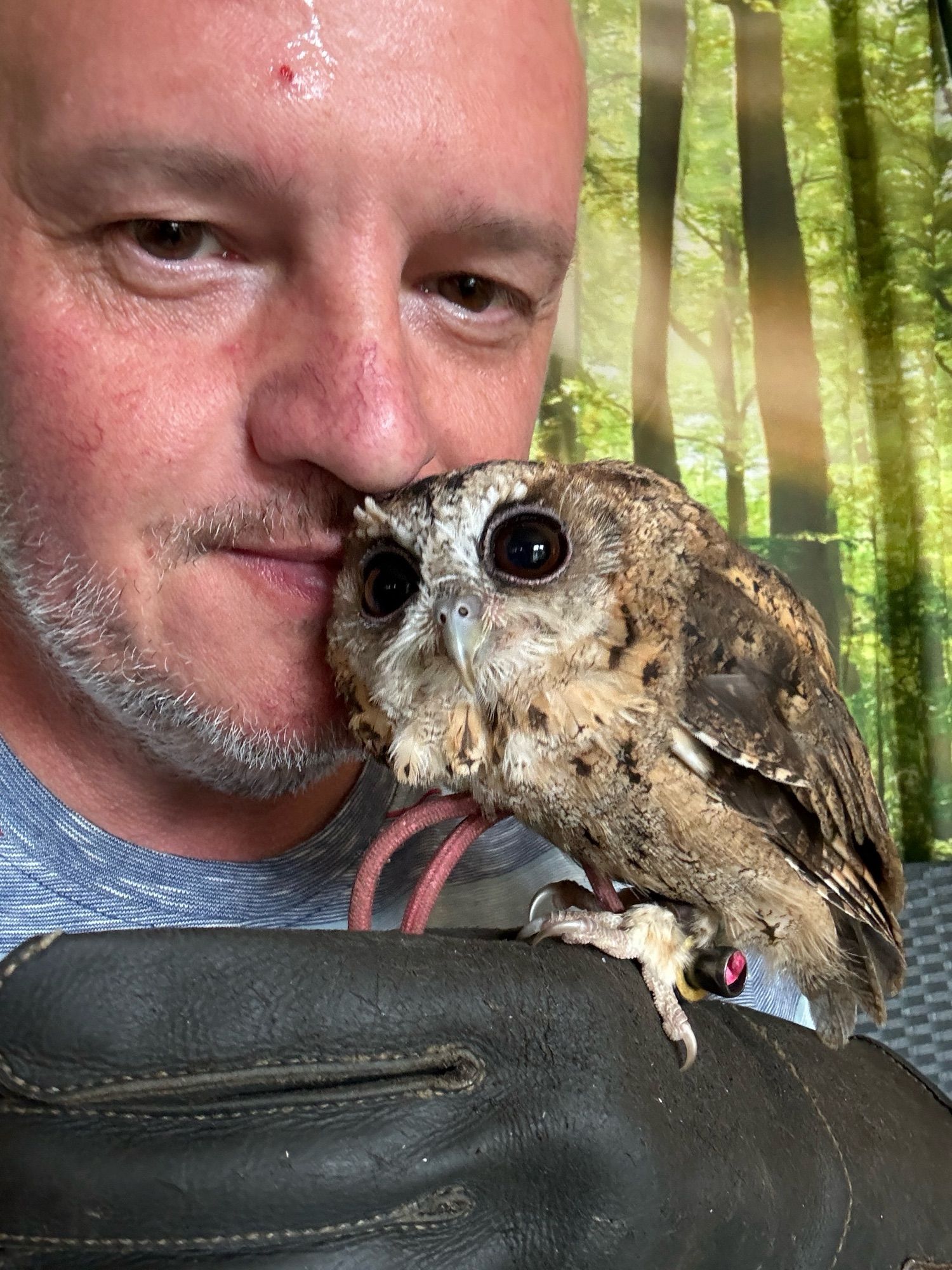 Me holding an owl that I fell in love with