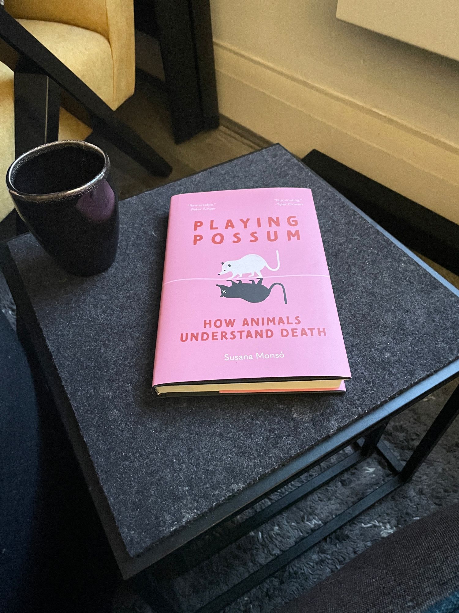 An attractive pink book on a small black table. The volume is Playing Possum by Susana Monsó.