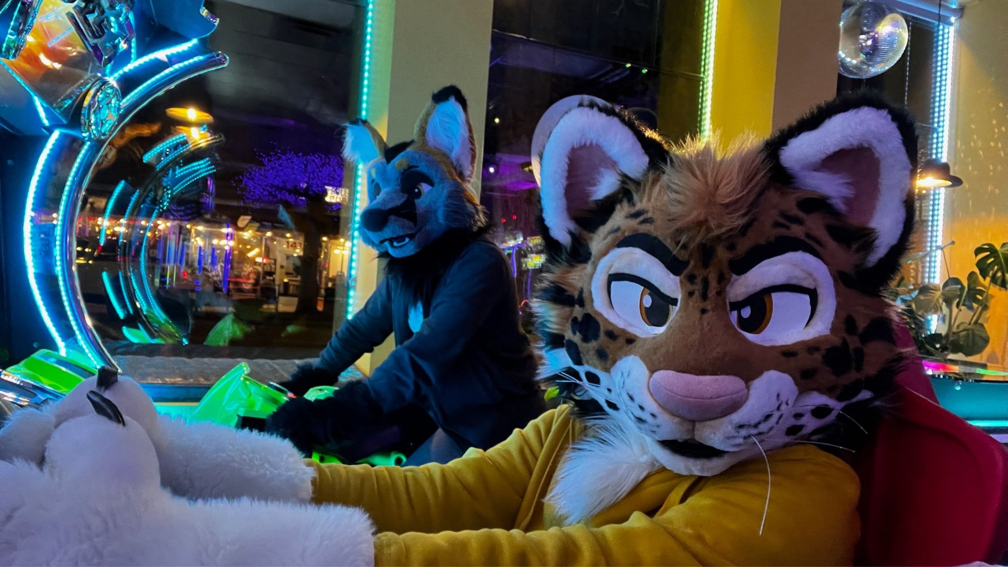 Hashtag and Tryk, a cat and a fox, playing racing games at Flipside arcade. Cat suit by JayCostumes, Fox by WhiteyFawks. Photo and arcade by triggurgote