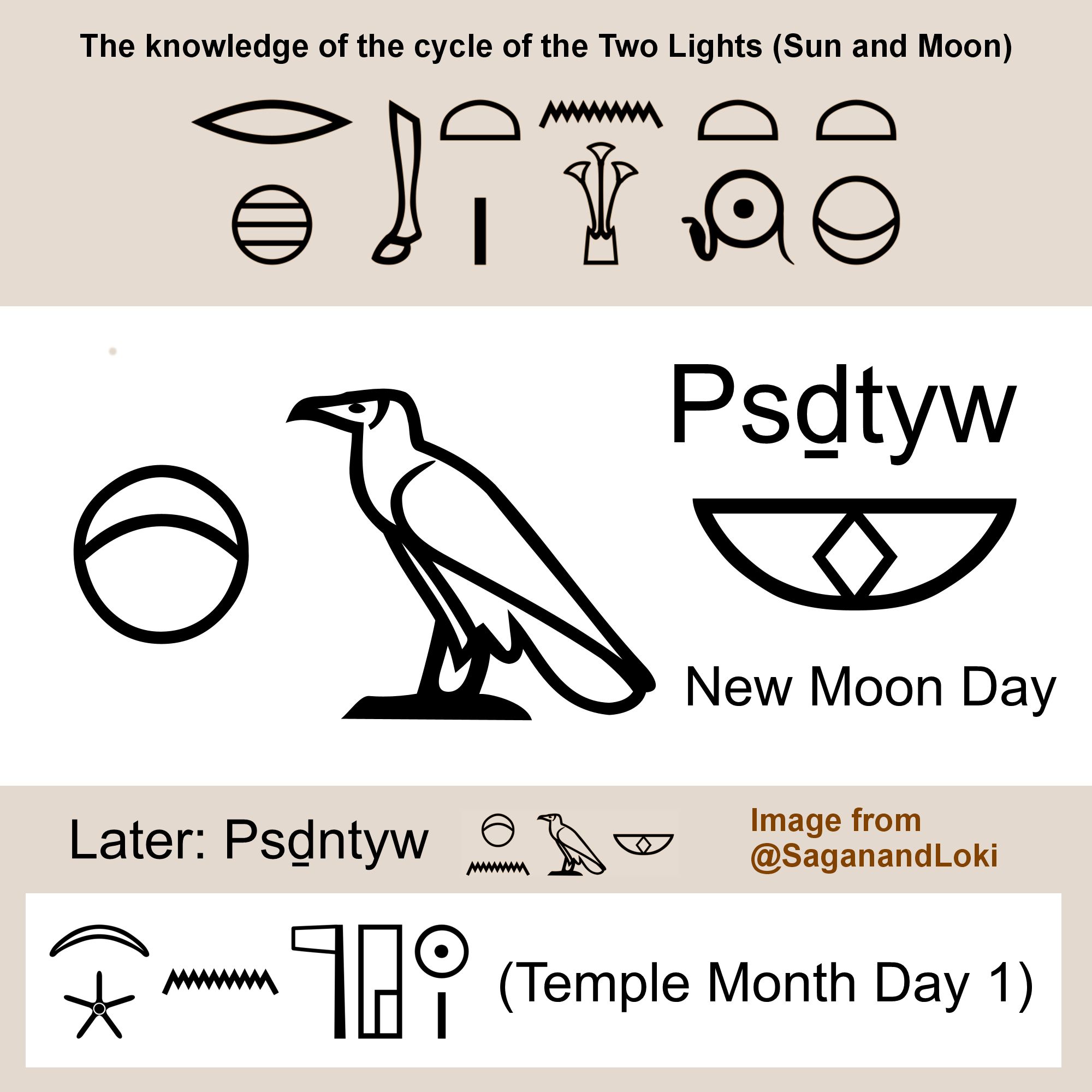 Graphic highlighting the hieroglyphs of an ancient Egyptian lunar day. Labeled, "The knowledge of the cycle of the Two Lights (Sun and Moon)", and "Temple Month Day 1". In the center are the hieroglyphs for New Moon Day (Psḏtyw and the later alternate Psnḏtyw).