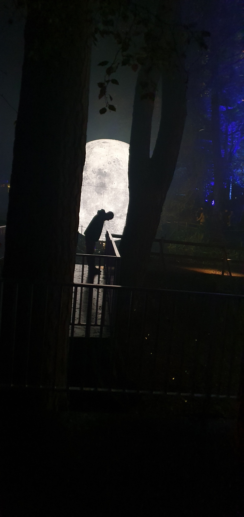 Photo from enchanted forest Pitlochry with silhouette of man in front of the moon