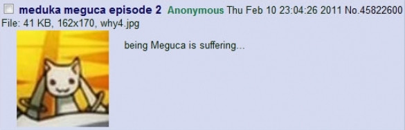 being Meguca is suffering...