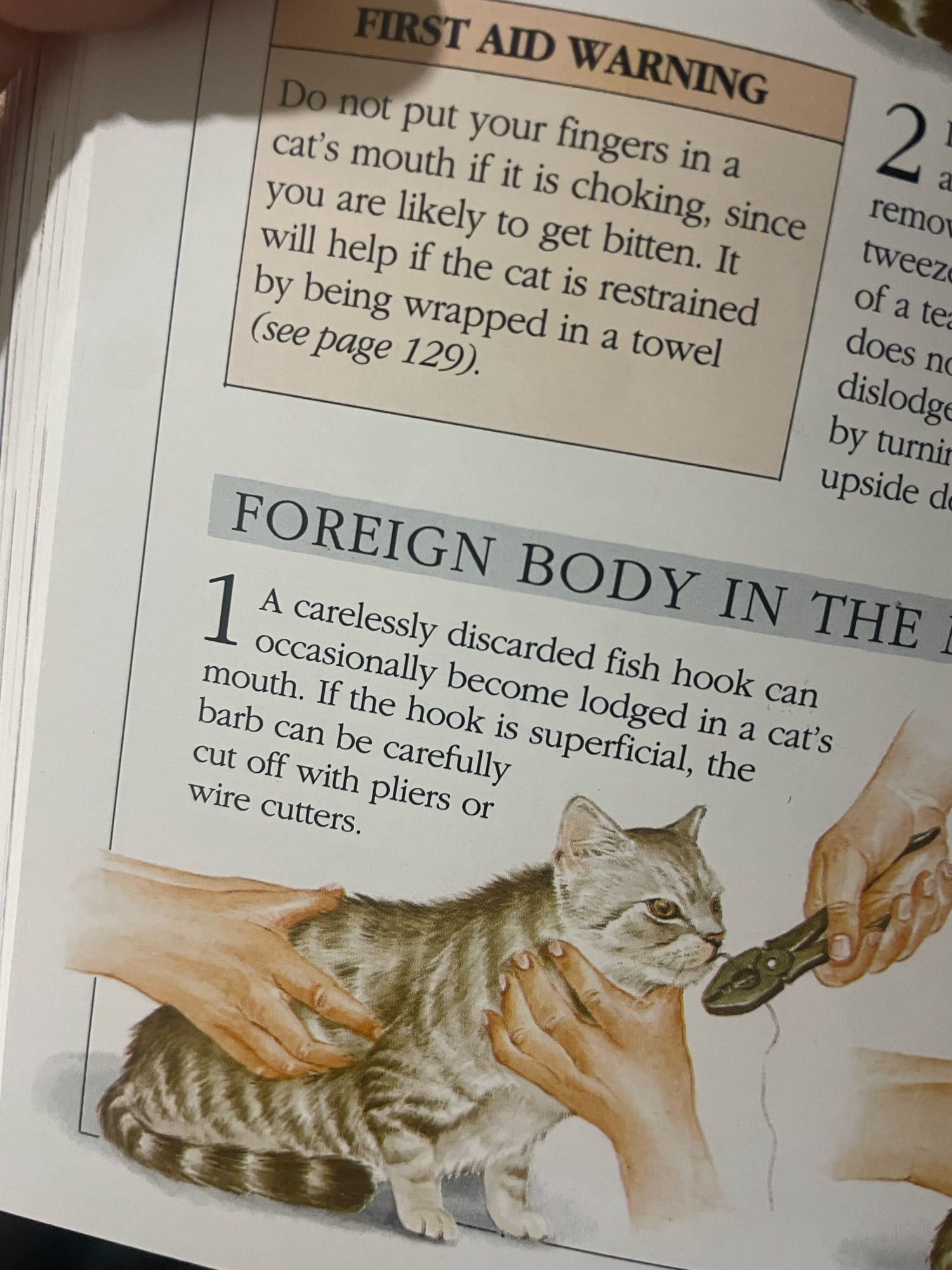 FOREIGN BODY IN THE-

A carelessly discarded fish hook can occasionally become lodged in a cat's mouth. If the hook is superficial, the barb can be carefully cut off with pliers or wire cutters.