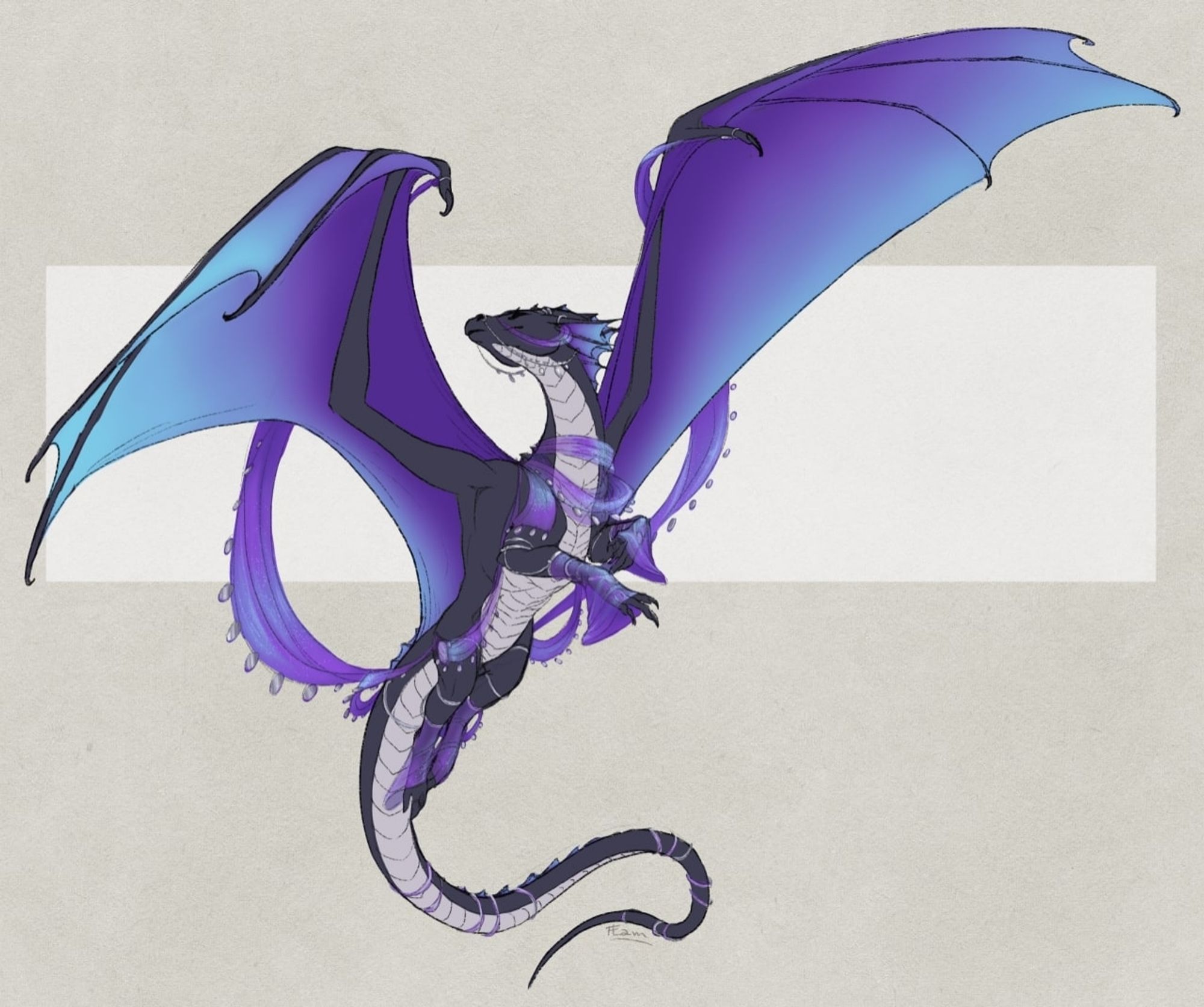 A dark purple dragoness flying