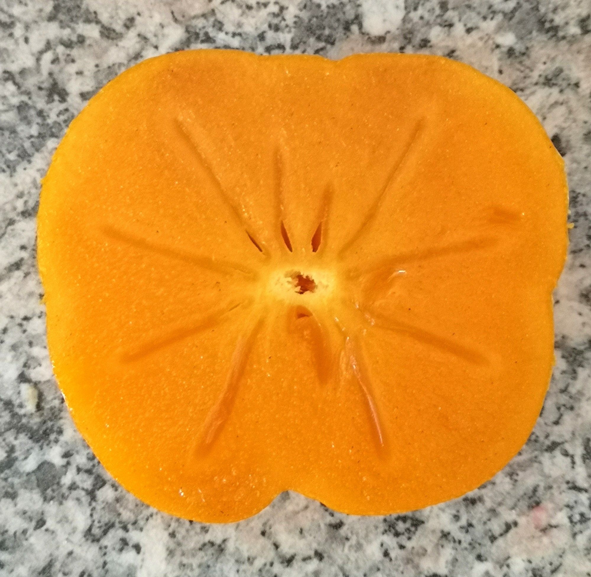 A persimmon cut in half. The natural pattern inside greatly resembles a spider. Photo and discovery by David Hallangen June 2024