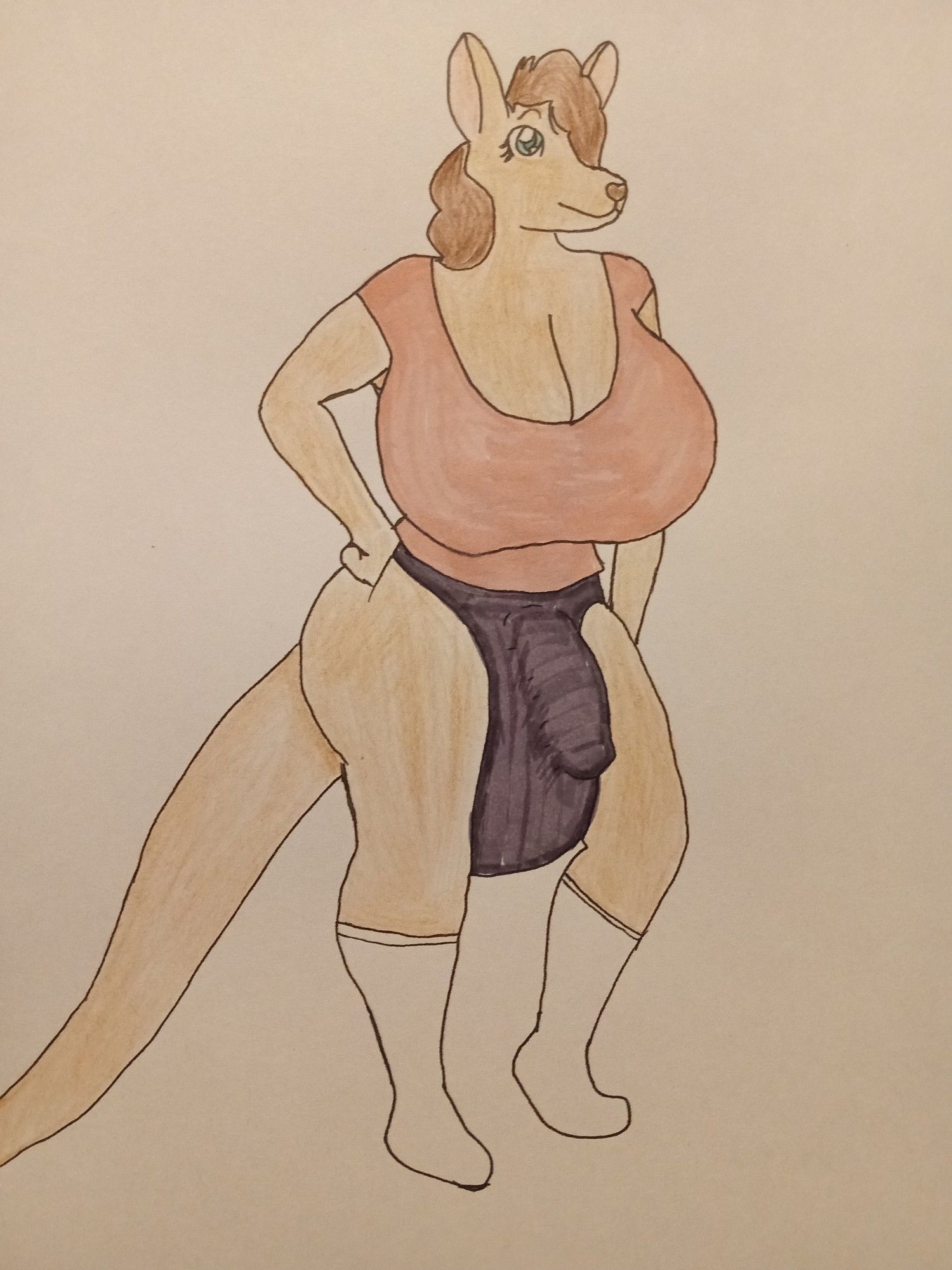 A kangaroo girl with huge breasts and a huge penis. Her outfit consists of a pink shirt, white socks, and black underpants.