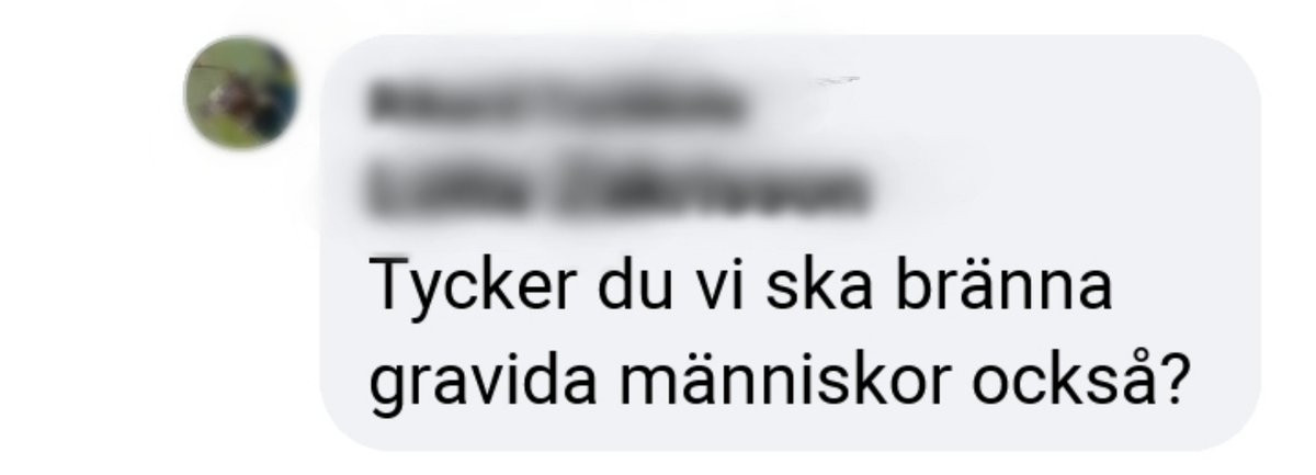 Svar på kommentaren: Tycker du vi ska bränna gravida människor också?