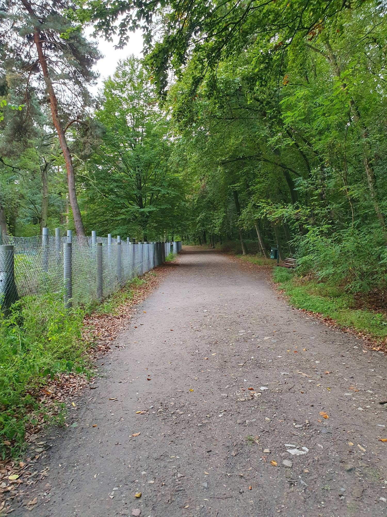 Volkspark Rehberge