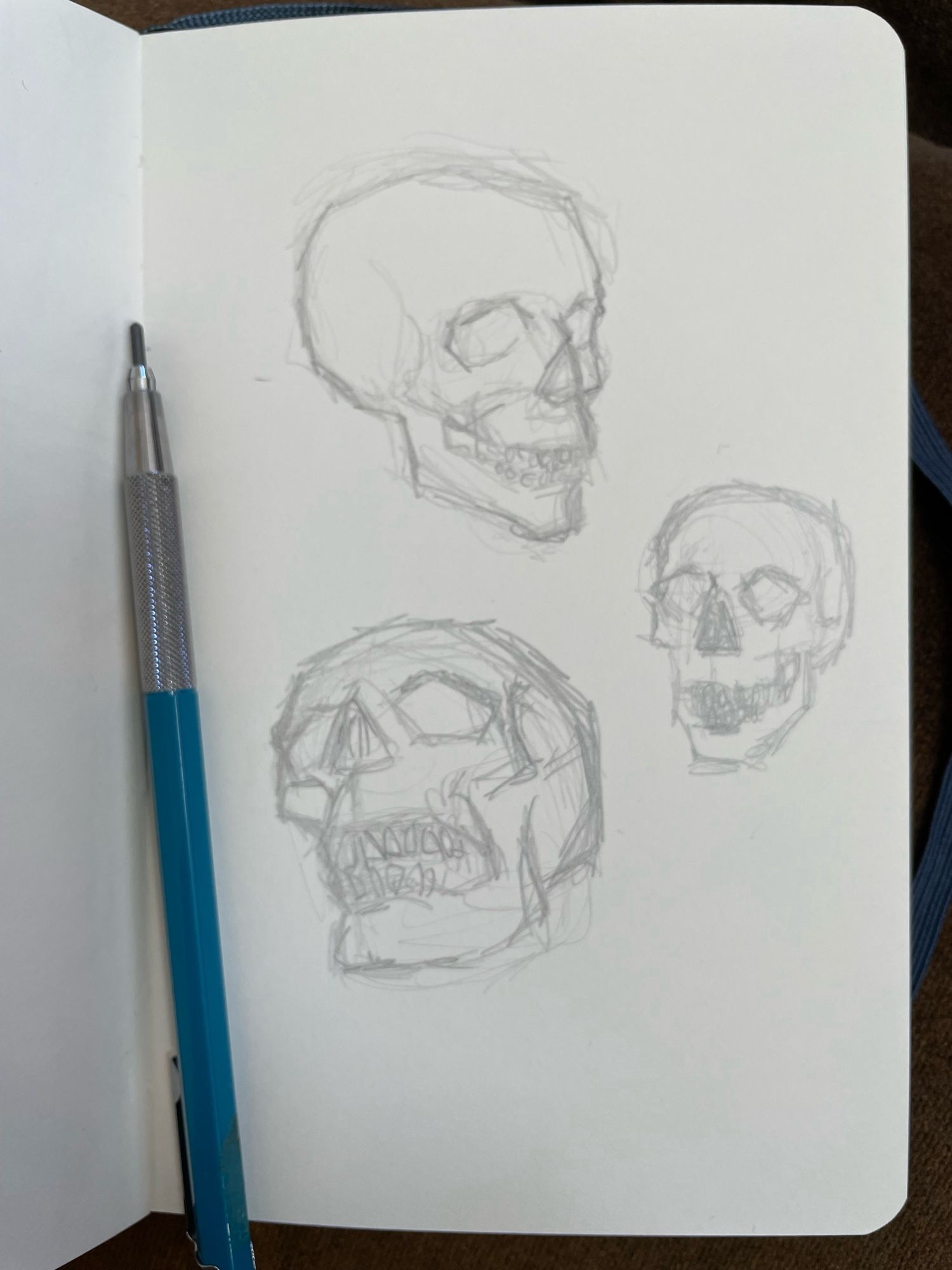 Pencil warm up sketches of skulls.