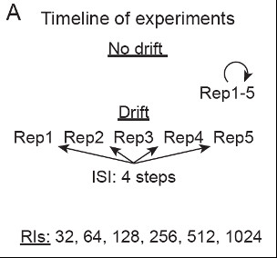 Left: Depiction of modeling paradigm for cases with and without drift.