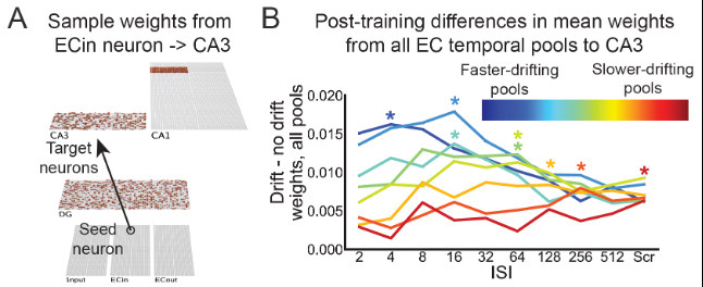 Left: Depiction of weights between the entorhinal cortex and area CA3 in various temporal context pools. Right: Greater weight strengthening occurred in slower drifting pools with increasing ISIs.