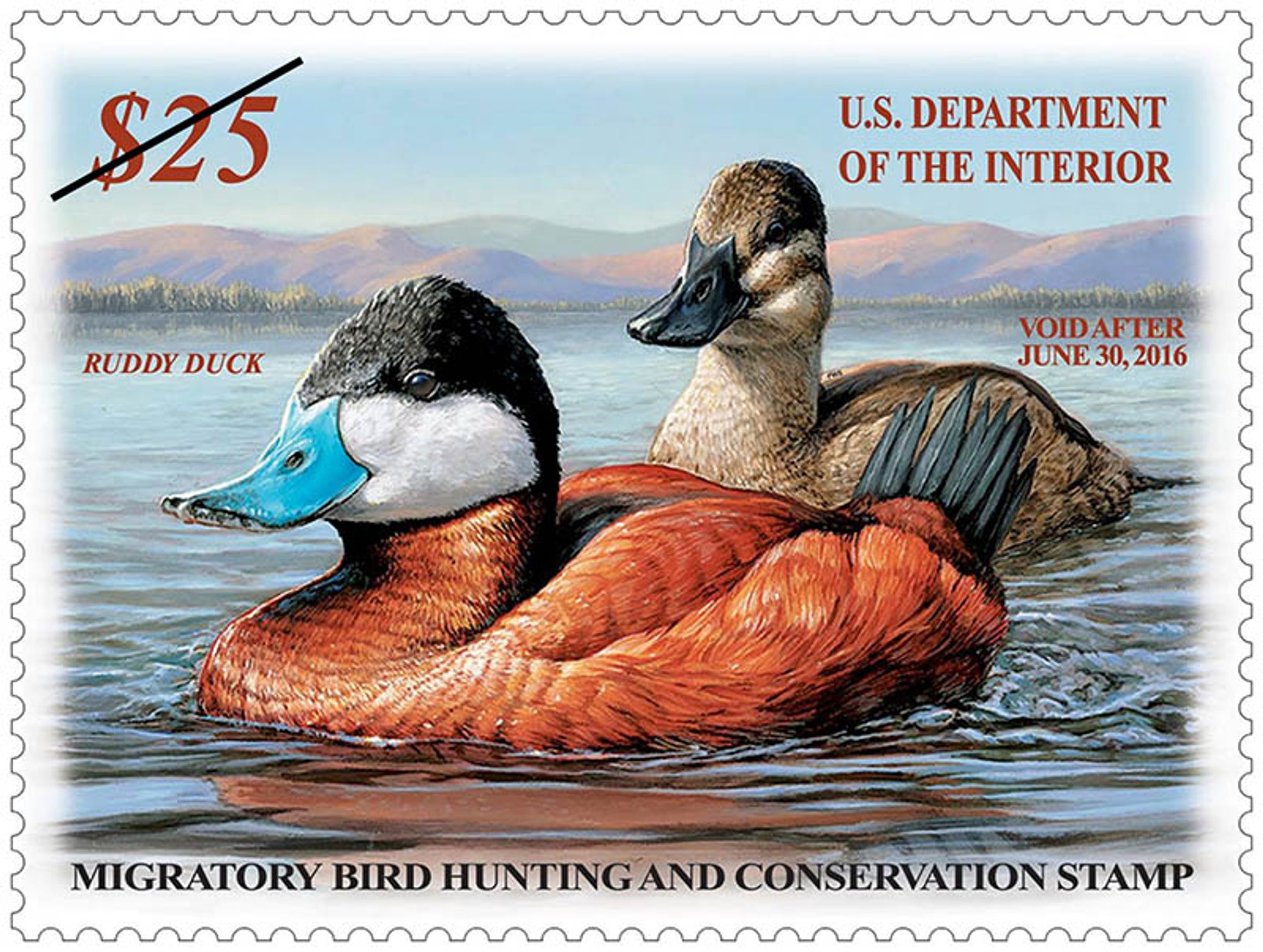 A digital image of the 2015-2016 Federal Duck Stamp. The stamp with a perforated edge design, shows a reproduction of an artist's rendition of two ruddy ducks swimming in a lake with subtle hills in the background. The stamp has a denomination of $25 in the upper left, and below it is labeled with the following information: ruddy ducks, U.S. Department of the Interior, Void after June 30, 2016. At the bottom in bold text it reads: Migratory Bird Hunting And Conservation Stamp.