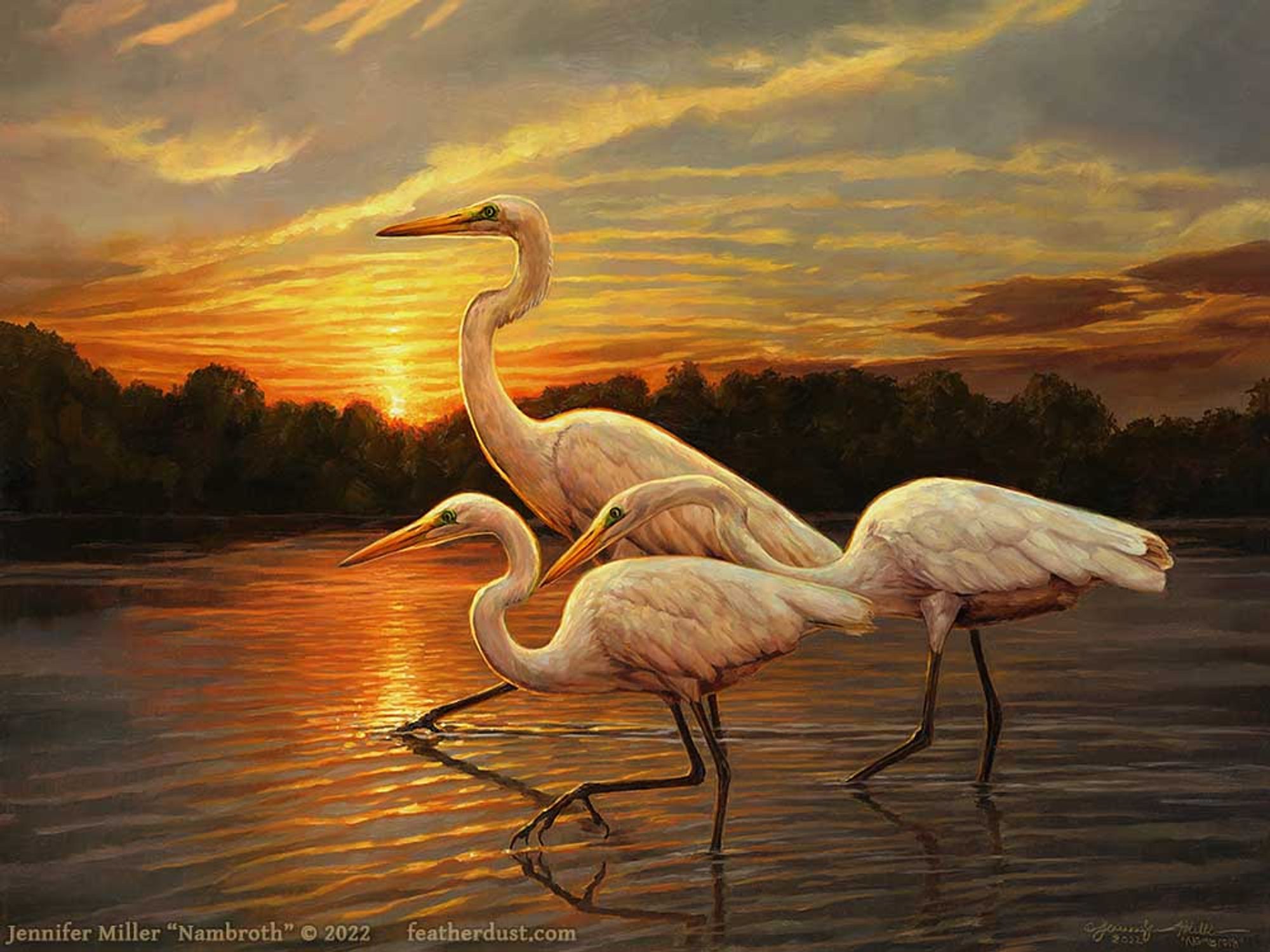 An oil painting of three great egrets wading through shallow water in front of a sunset scene. The egrets are overall white with long necks and long black legs, long sharp yellow beaks, and a patch of green skin in front of the eyes. Each bird is in a different pose, all stalking forward together closely as a group, sort of giving the same vibe as the three witches moving together from the movie Hocus Pocus. The water is mostly calm and reflecting the sunset. In the background, a treeline is in silhouette and the sun is low to the horizon. The artist watermark reads: Jennifer Miller "Nambroth" 2022, featherdust dot com