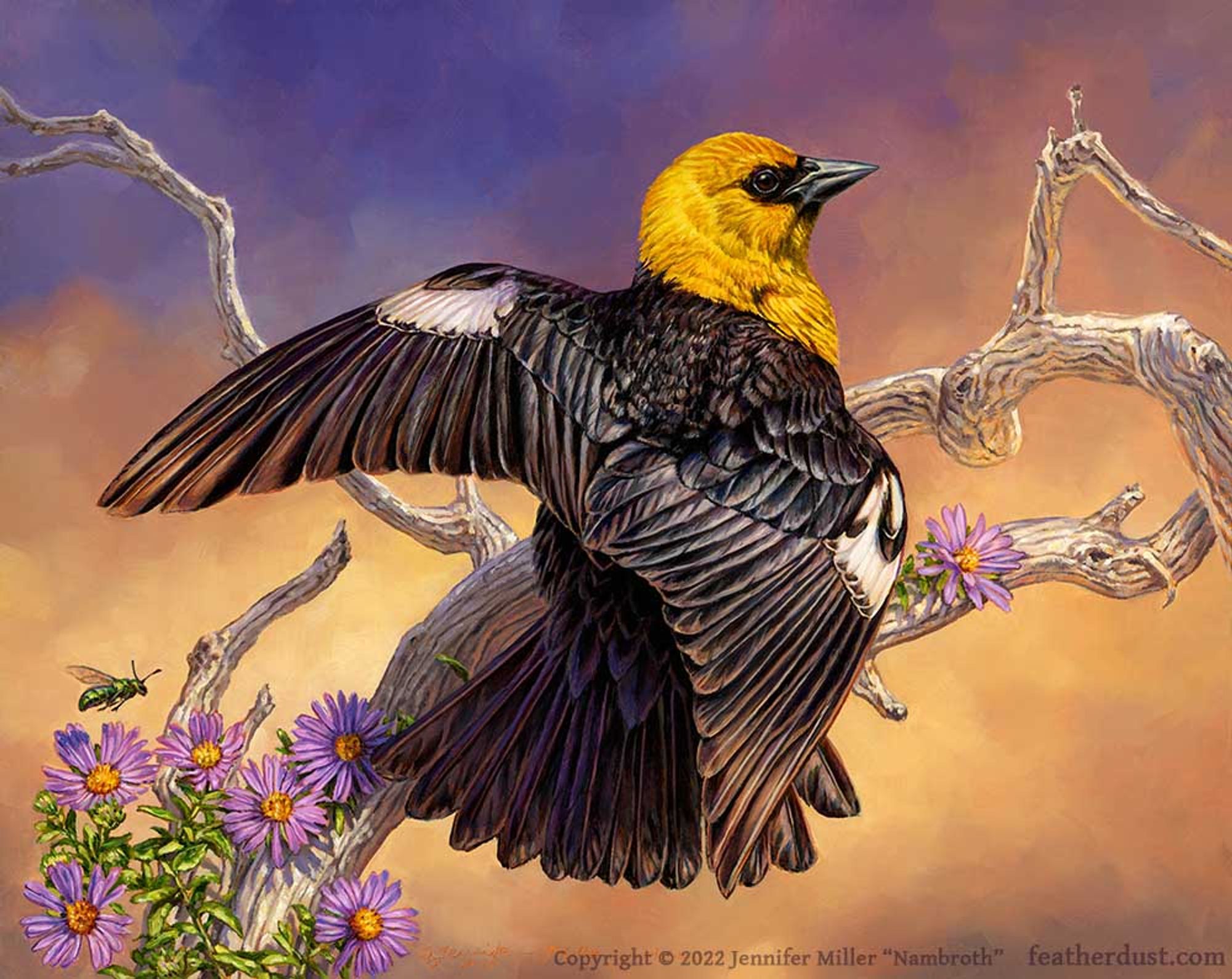 An oil painting of a yellow-headed blackbird. The bird is glossy black with a yellow head, dark mask around its eyes, dark bill, and white patches on its wing wrists. It's perched, back to the viewer and wings partially open, on a bleached white twisty deadwood branch, with purple aster flowers crawling up the branch. A small metallic green bee hovers over the flowers on the left. The painting is intentionally created with the colors of the non-binary pride flag. The artist watermark reads: "Copyright 2022 Jennifer Miller "Nambroth" featherdust.com