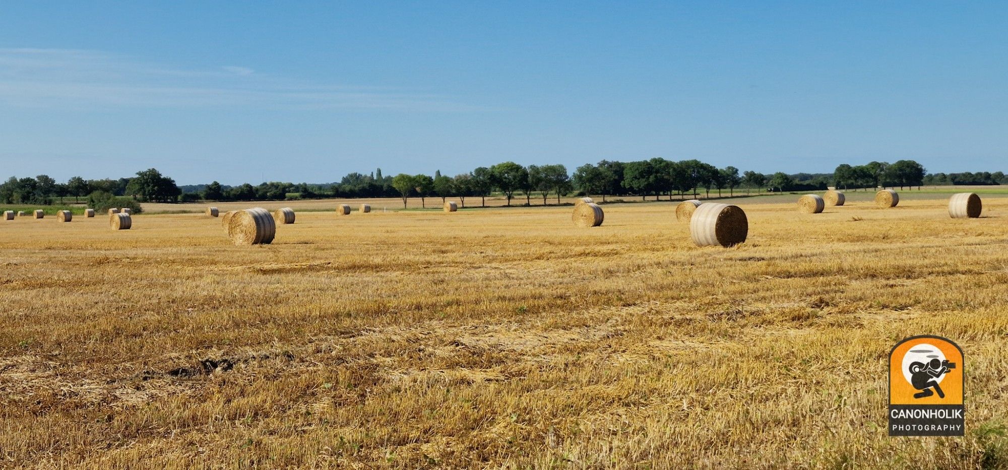 Ein abgeerntetes mit vielen Rundballen aus Stroh. Der Himmel ist blau an diesem schönen Sommertag