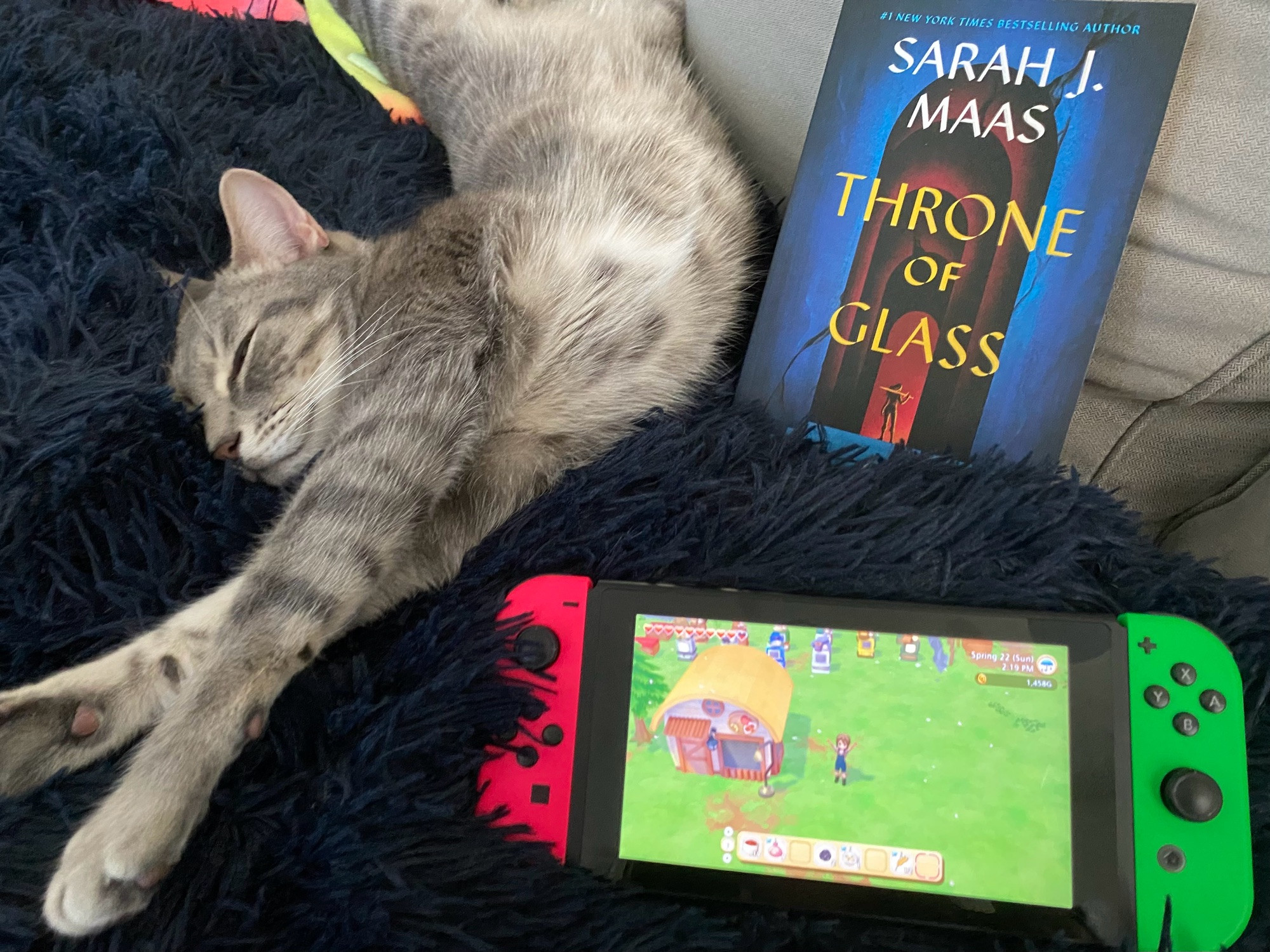 A grey tabby cat is stretched out next to a Nintendo Switch with a farming sim game on screen and a copy of the book Throne of Glass.