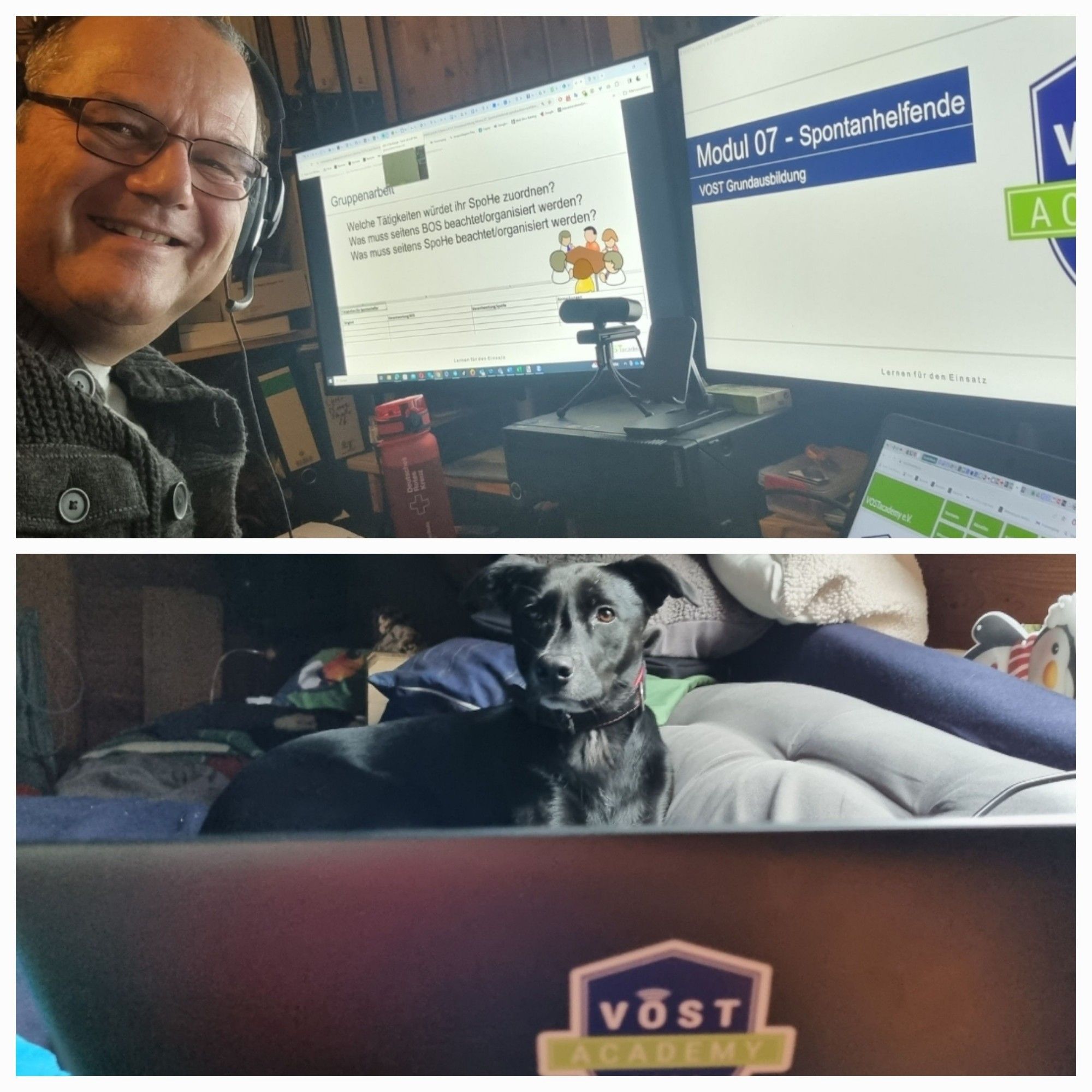 Collage: Oben Selfie am PC unten Hund am Laptop