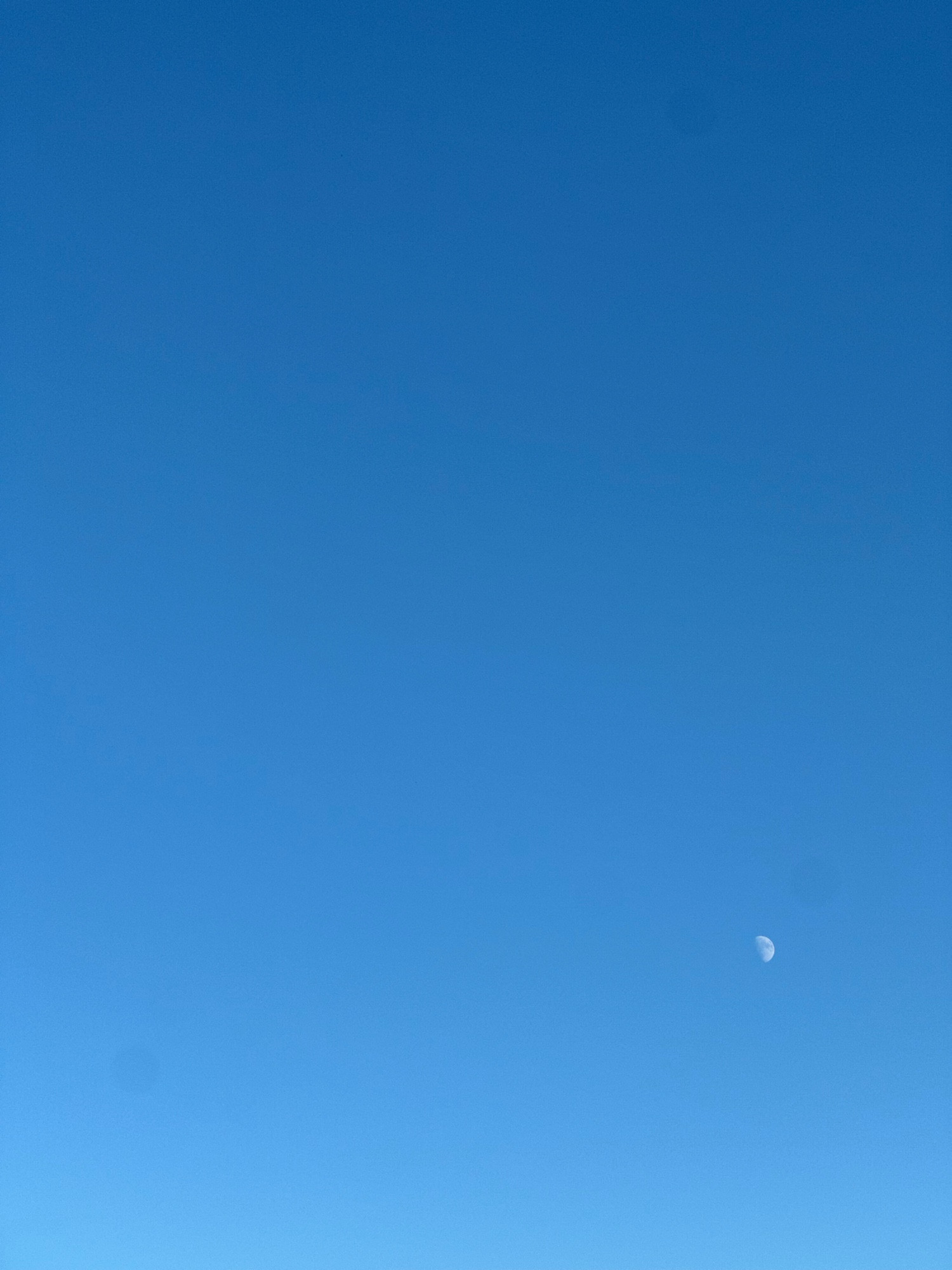 Bluesky & Moon