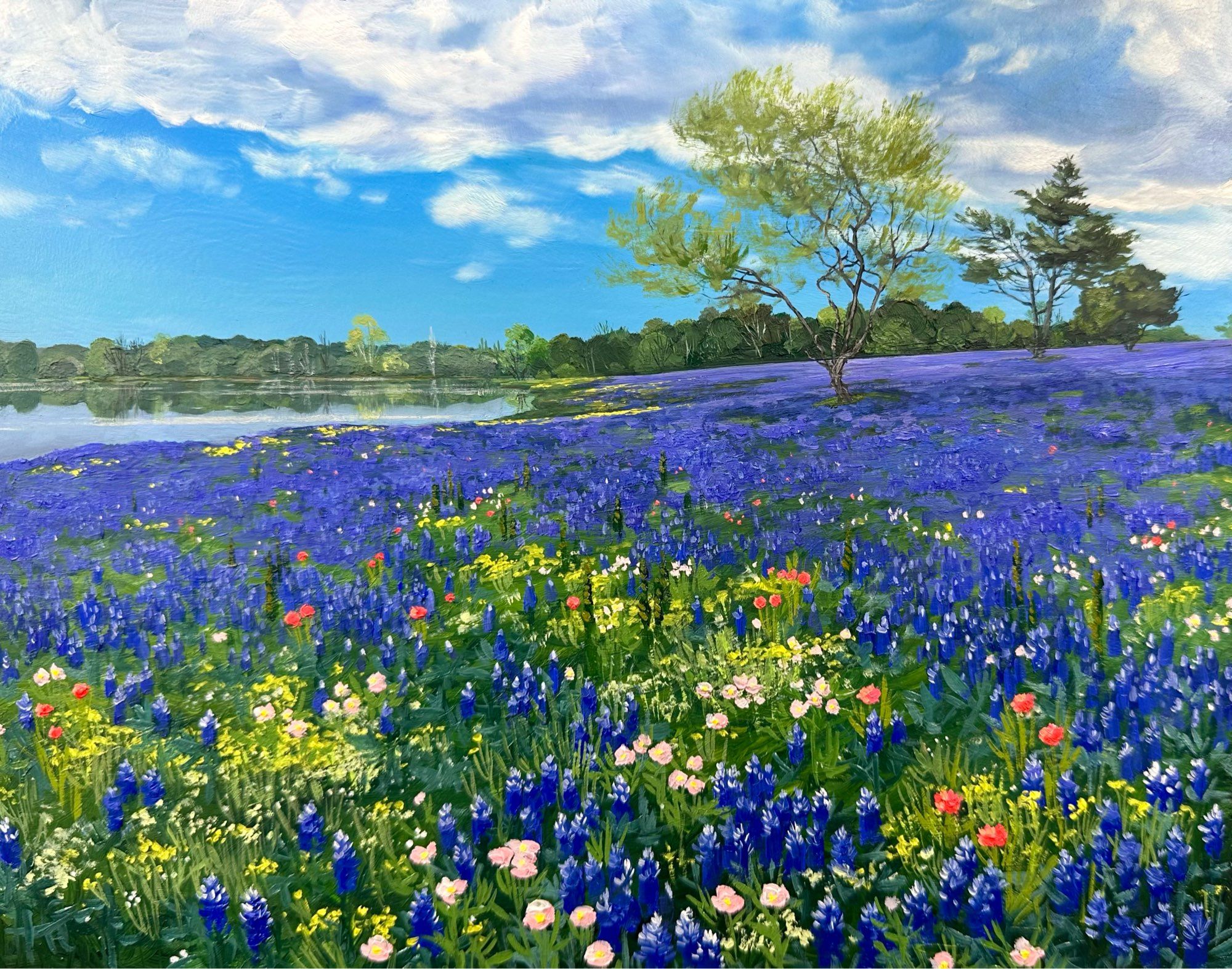 Oil paintings of a field of bluebonnets