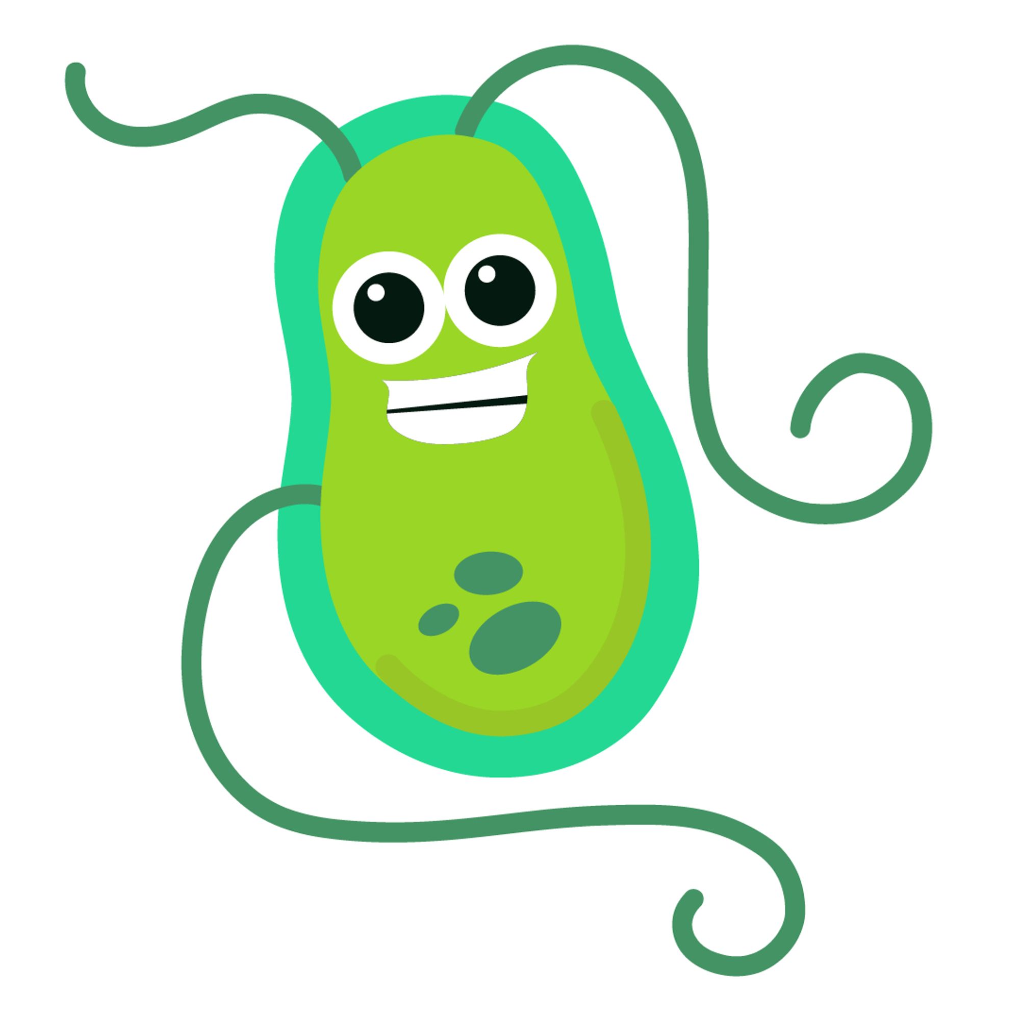 Vector cartoon of a Rhizobium bacterium called Rizzo. It has a light green body, a turquoise capsule, two cartoony eyes, a big grin and three dark green flagella.