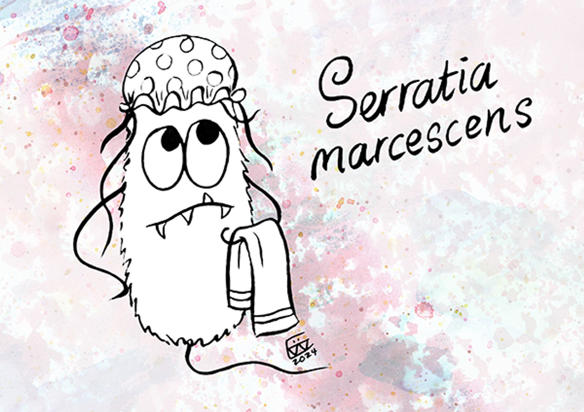 Cartoon of a rod shaped bacterium, wearing a spotty shower cap, holding a towel. Flagella are falling out of the shower cap and its expression is one of tired watchful waiting. The writing spells the bacterium's name, Serratia marcescens. The background is light, with mottled pink and blue abstract textures.