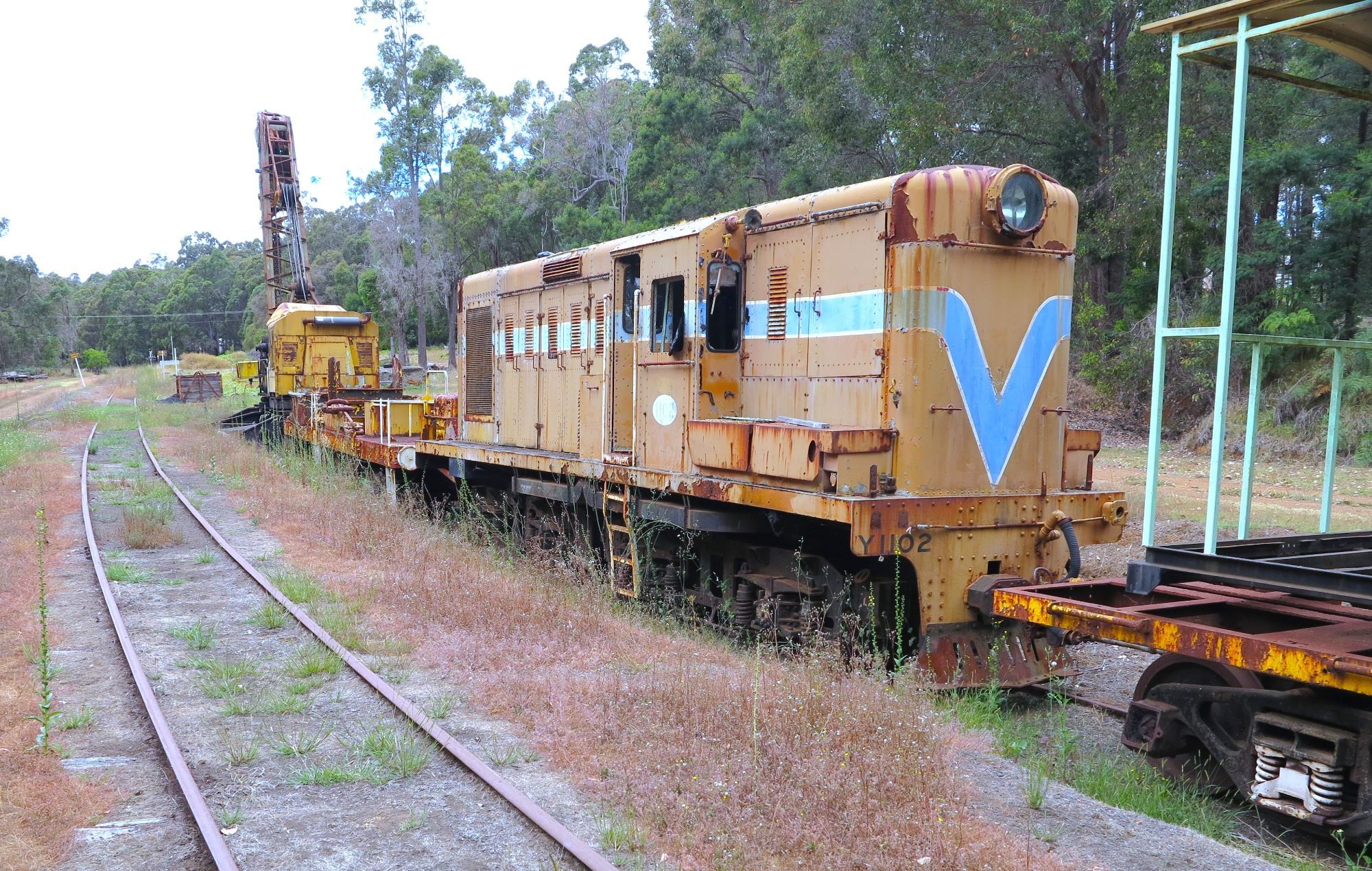 A derelict predominantly orange-liveried hood unit diesel locomotive sits attached to other disused rollingstock on an overgrown set of narrow gauge tracks in a forested rural location.