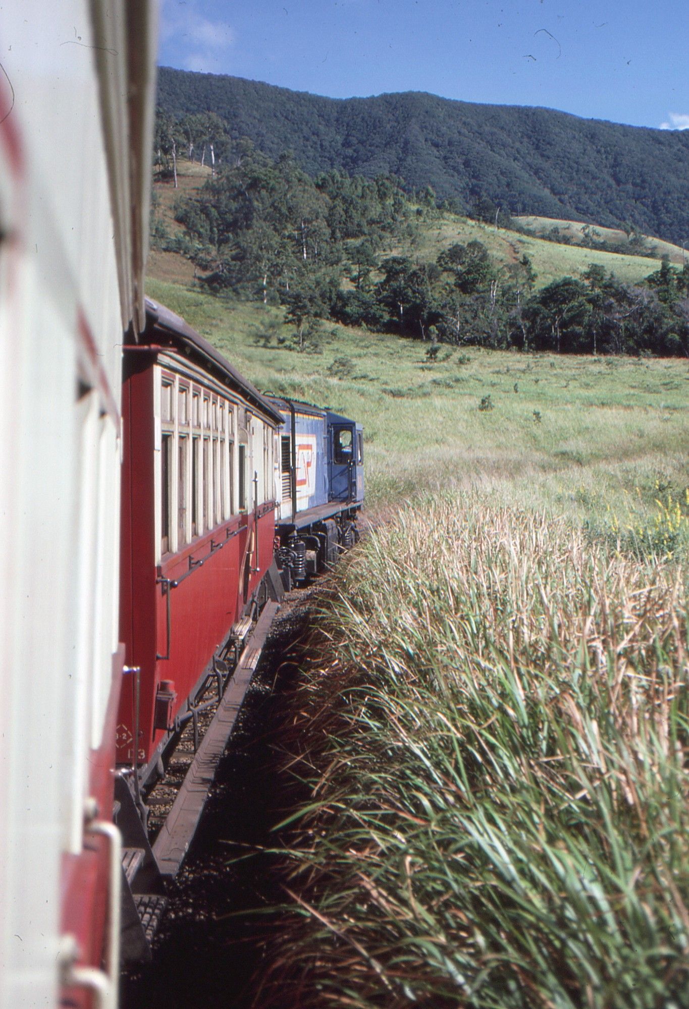 A photo taken from onboard a passenger train, looking forward through an open window on the right hand side of the second carriage looking at the first carriage and the diesel loco in front of us traversing a tight right hand curve.  At right is thick tall grass and in the distance is grassland rising up to a tall forested range on the horizon.