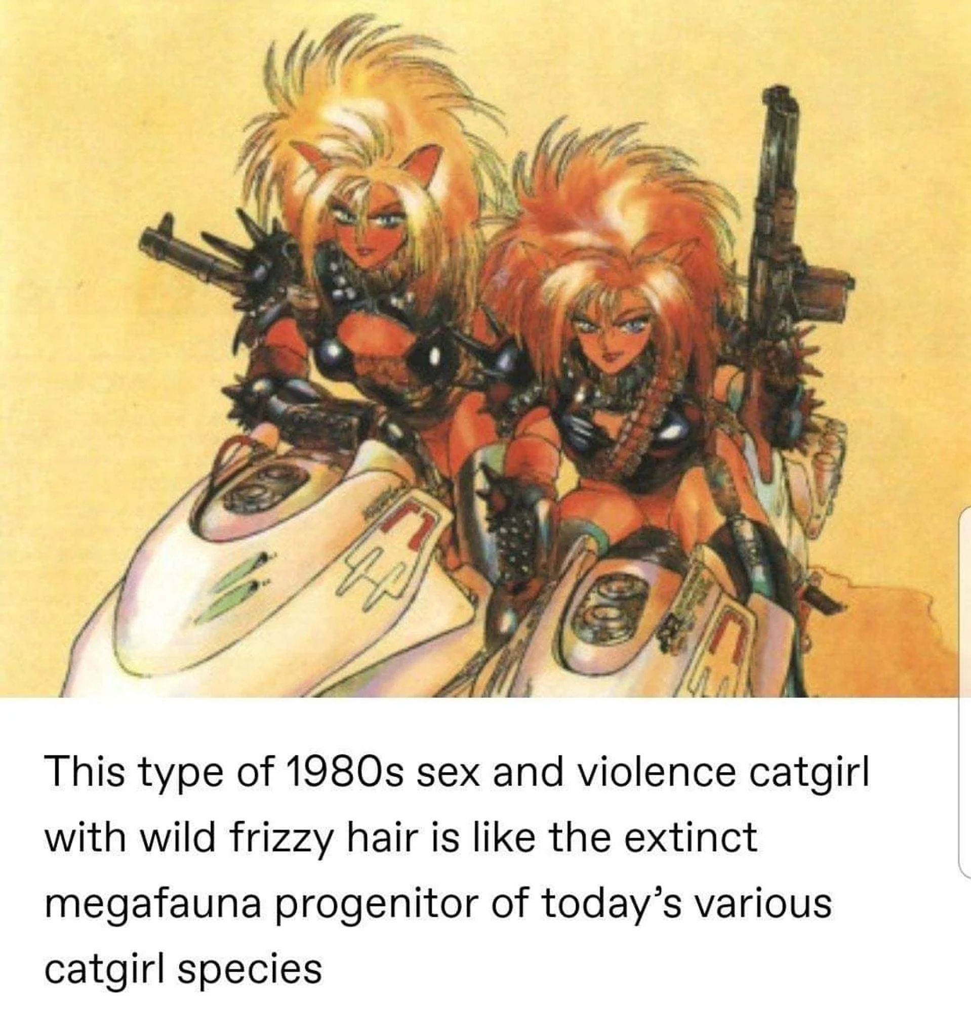 This is an image of some very aggressive looking catgirls clothed in spiked leather and armed with multiple dangerous looking rifles.

Below there's a text macro that says "This type of 1980s sex and violence catgirl with wild frizzy hair is like the extinct megafauna progenitor of today's various catgirl species."