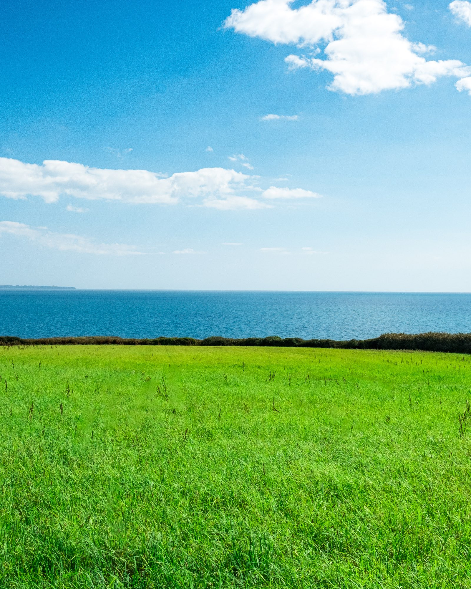 Grüne Wiese über blauem Meer. Keine Menschen.