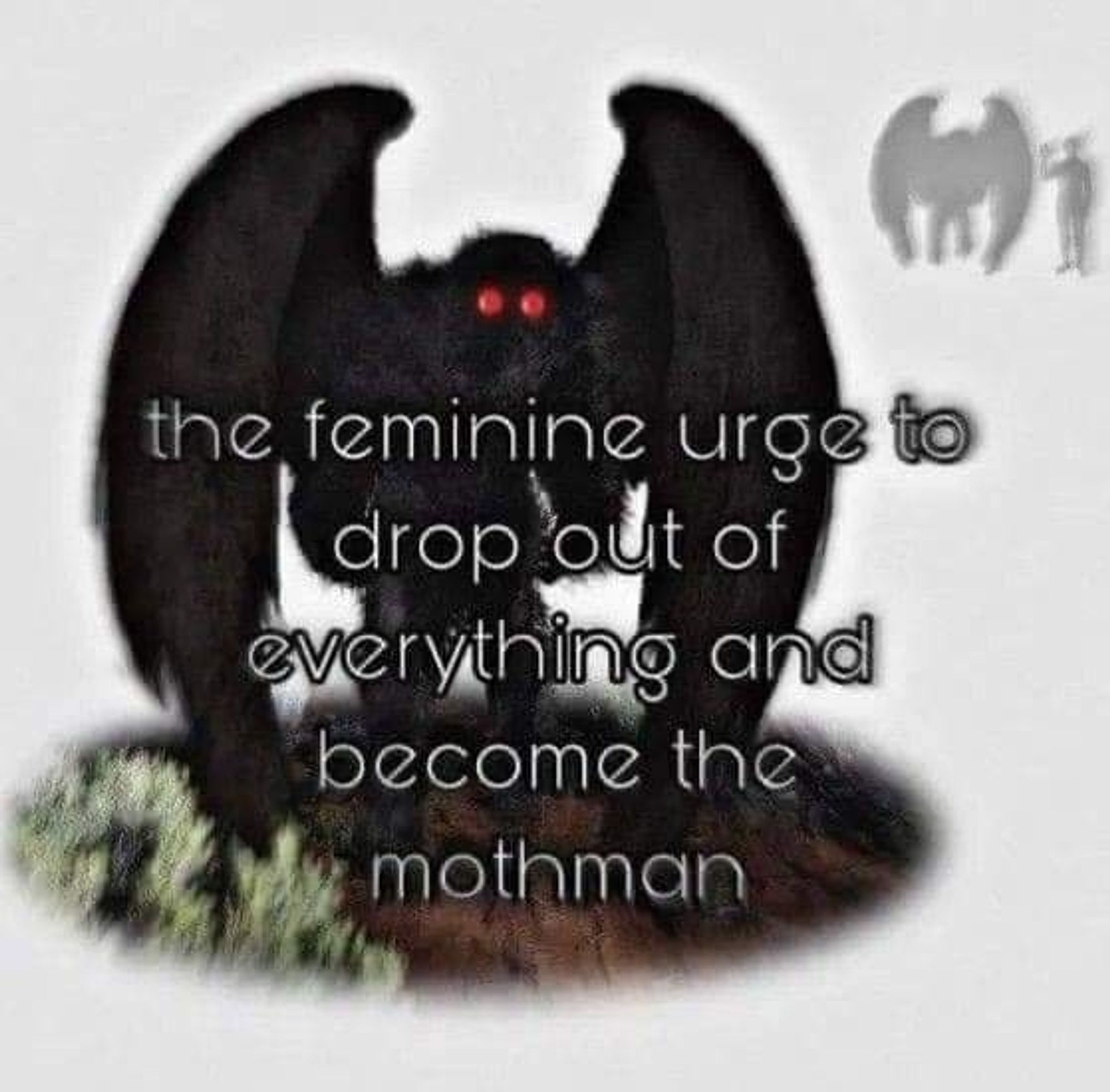 "the feminine urge to drop out of everything and become the mothman" 
It's a drawing of mothman