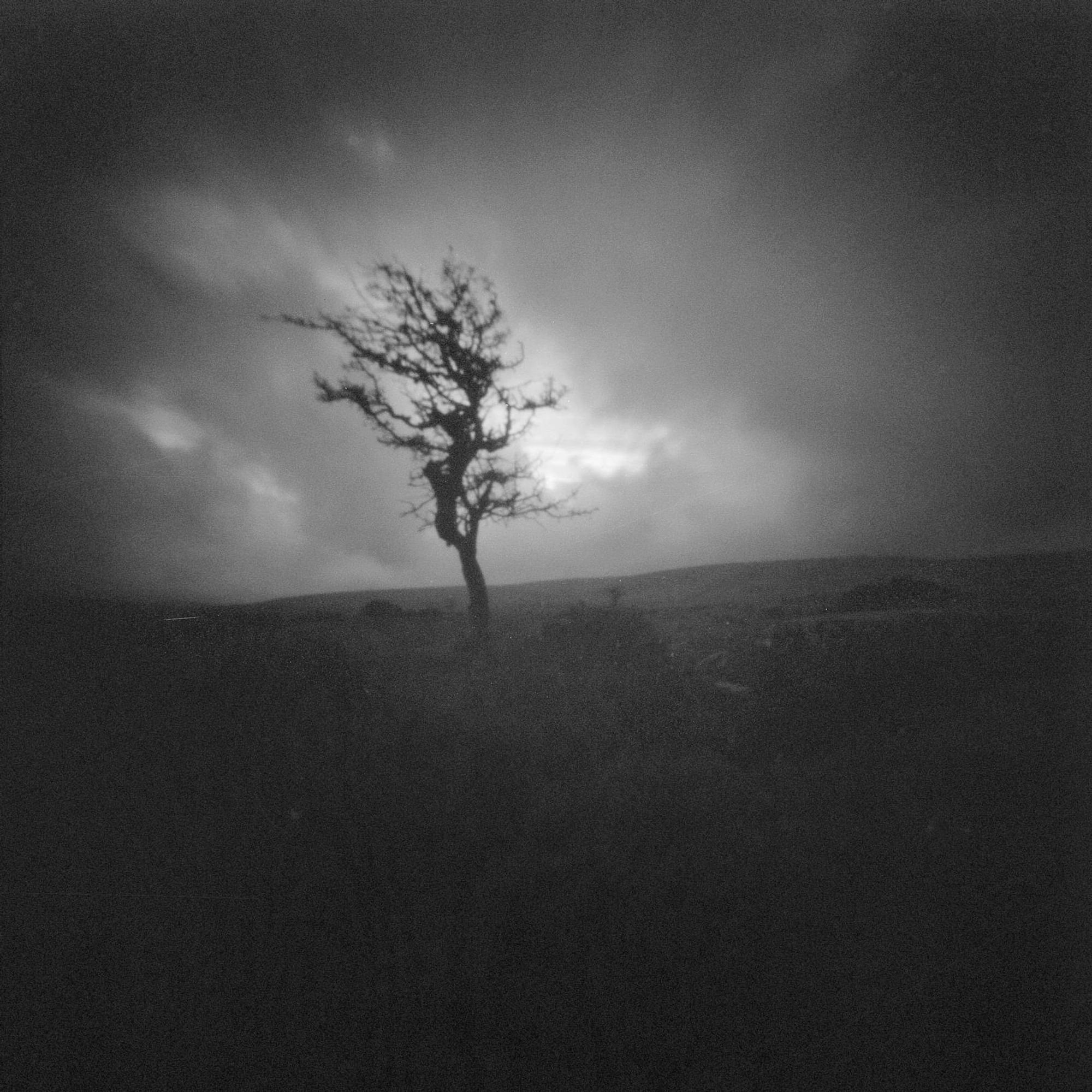 A pinhole photograph of a gnarled and twisted hawthorn tree on Dartmoor. Dark shadows and heavy vignetting against a brooding sky.