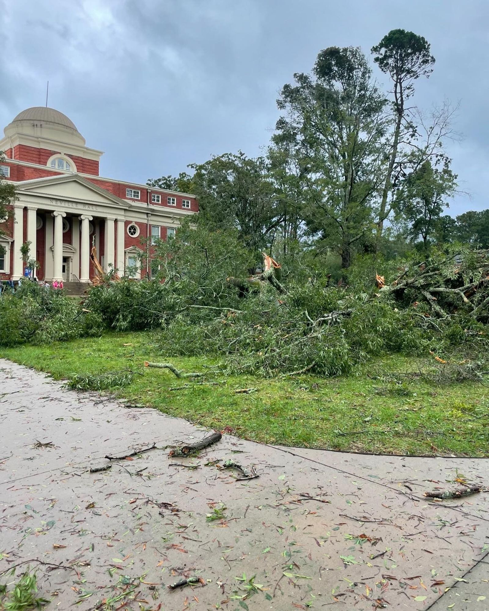 Many downed trees in front of Neville Hall. Helene has changed the face of the college.