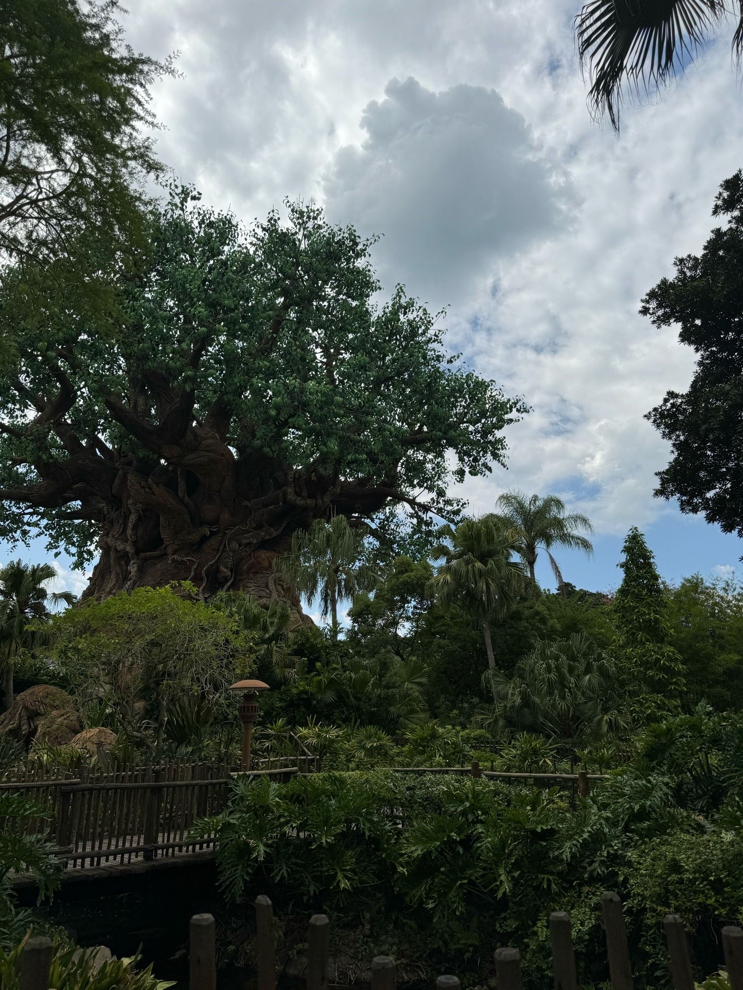 The Tree of Life in Disney’s Animal Kingdom at Walt Disney World Resort in Florida.