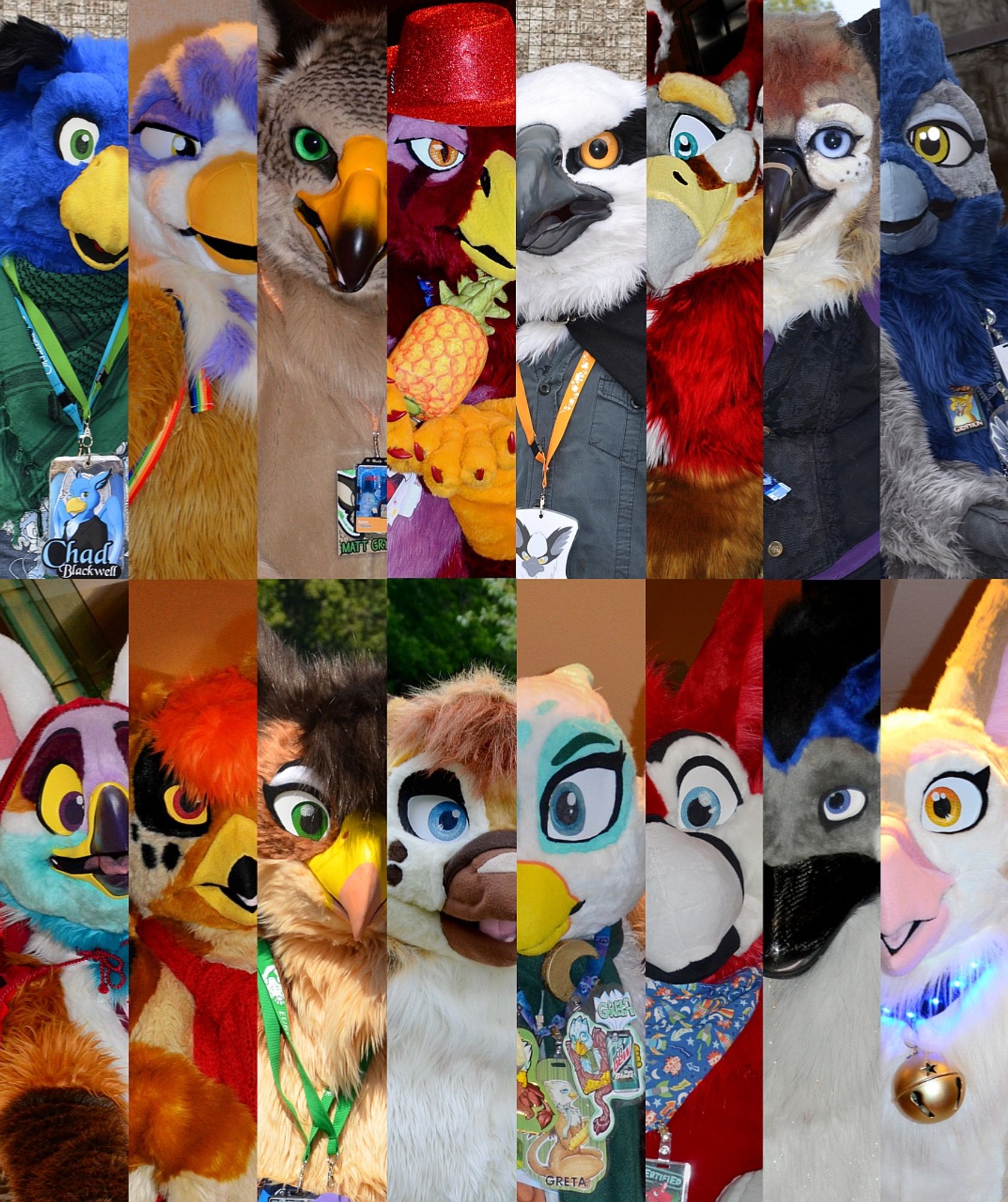 A collage composed of 16 rectangular sections, each featuring a half portrait of a griffon fursuiter.