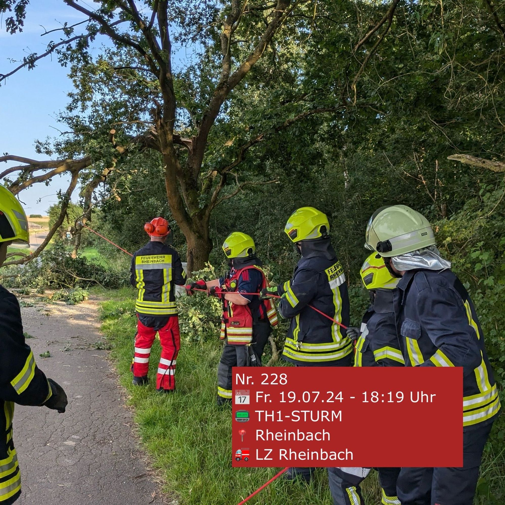 Feuerwehrleute mit dem Rücken zur Kamera. Sie ziehen an einer Leine, um einen abgebrochenen Ast wegzuziehen.