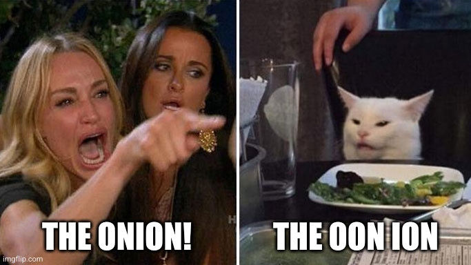 Angry lady yelling at cat meme.
The lady says "the onion!"
The cat says "the oon ion"