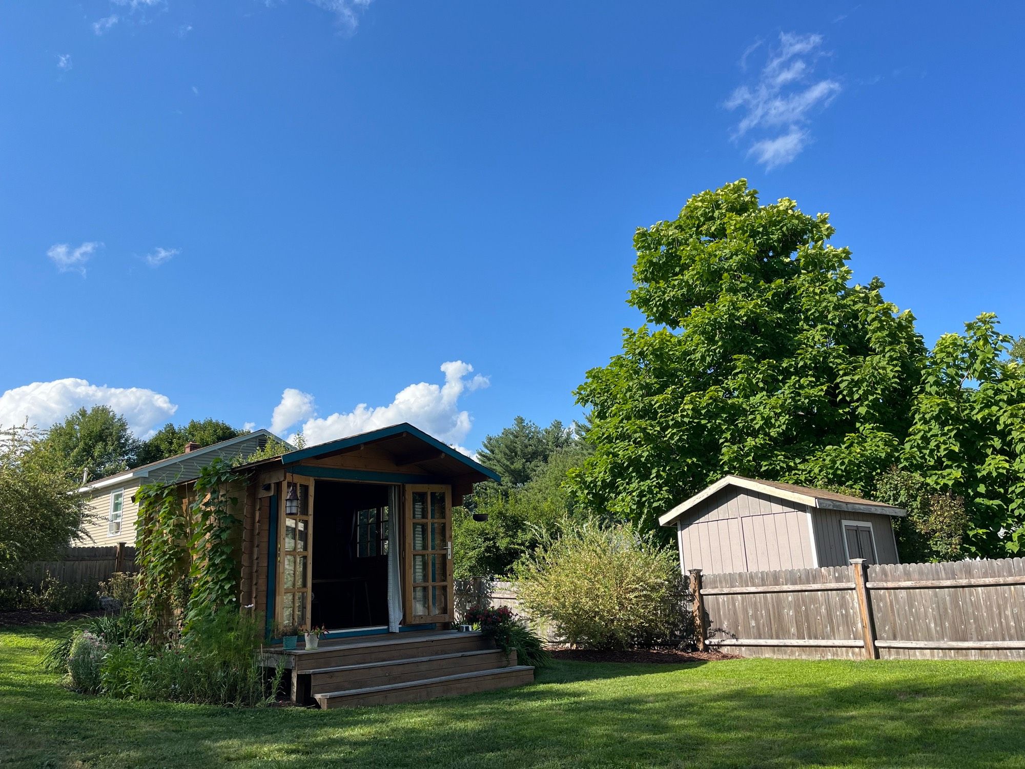 Blue sky over full green trees