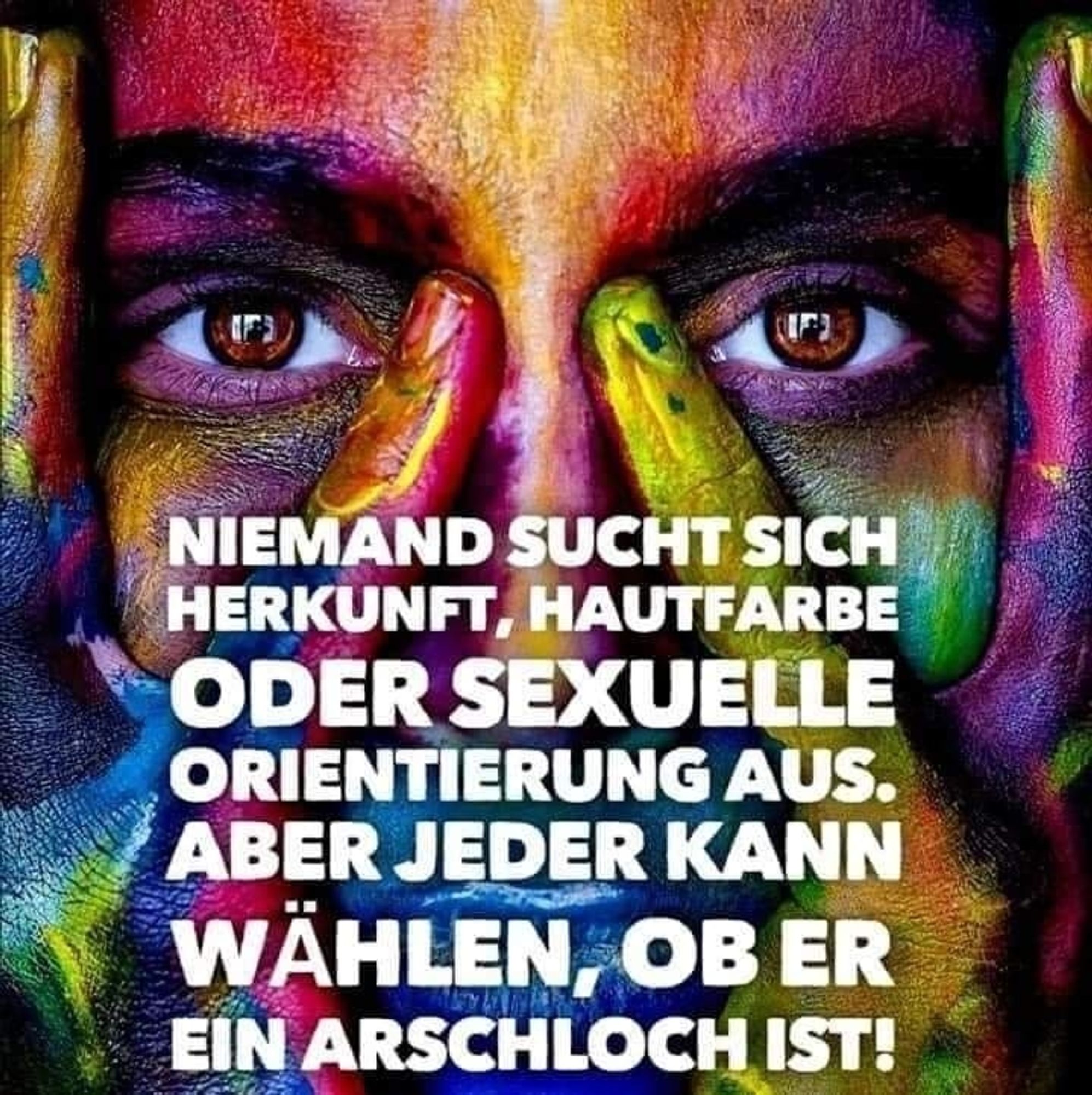 Bunt bemaltes Gesicht mit ebenso bunten Händen vor dem Gesicht.
Text: 
Niemand sucht sich Herkunft, Hautfarbe oder sexuelle Orientierung aus. Aber jeder kann wählen, ob er ein Arschloch ist!